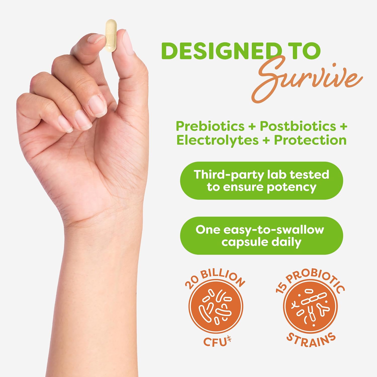 Probulin Total Care Probiotic Supplement for Daily Gut, Digestive, and Immune Health - 20 Billion CFU Capsules for Men and Women, Vegan - 30 Count Bottle