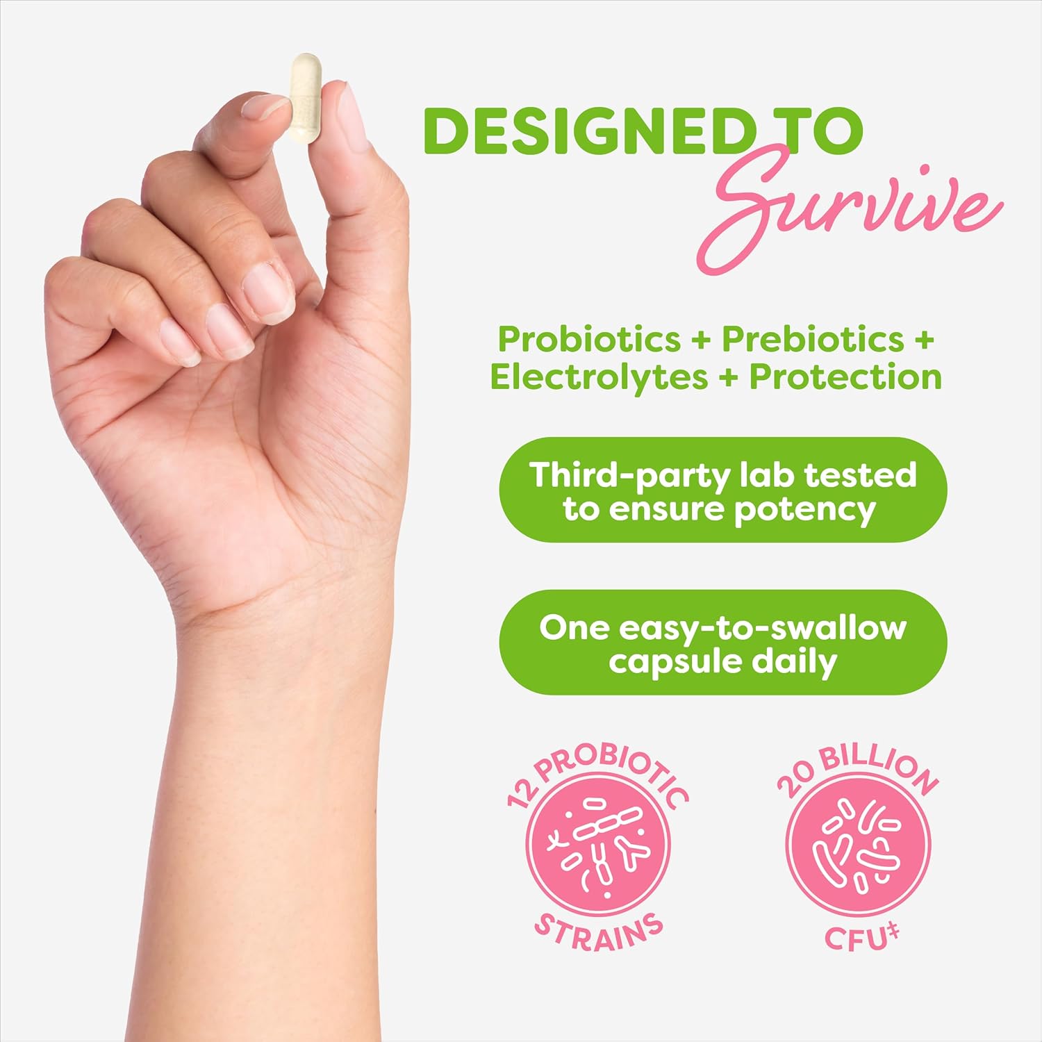 Probulin Women's Probiotics Capsules - 20 Billion CFU, 12 Strains, Vegan Supplement for Vaginal, Gut, & Immune Health - 90 Count