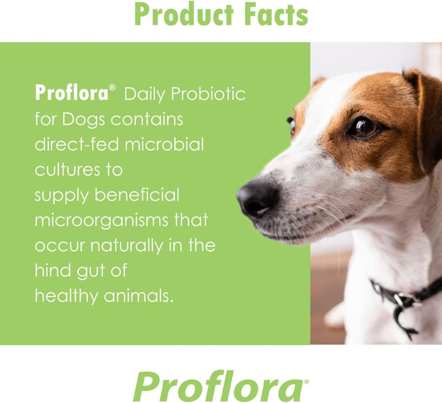 Proflora Probiotic for Dogs - Promotes Healthy Digestion, Boosts Immune System, Supports Normal Bowel Function, Improves Skin and Coat Health - 90 Servings, 3-Pack