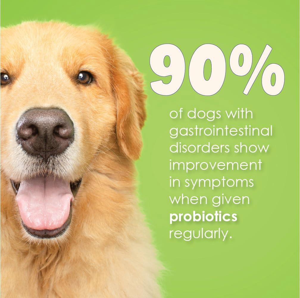 Proflora Probiotics for Dogs: Gut Health & Immune Support, Easy Digestive Care (30 Packets)