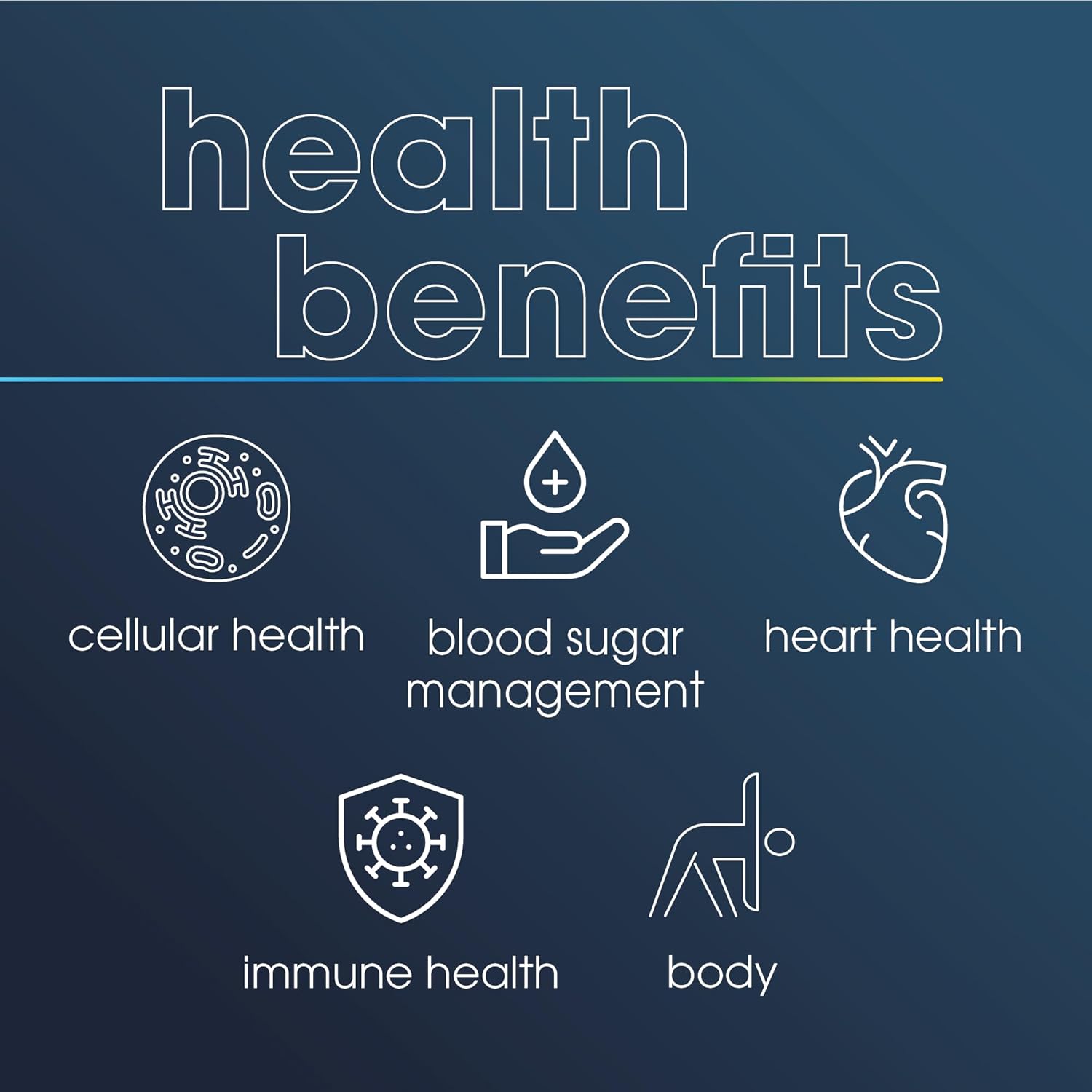 ProHealth Berberine Pro with Alpha Lipoic Acid & Black Pepper Extract - 1,200mg per Serving - 60 Caps - Supports Metabolism & Body Composition