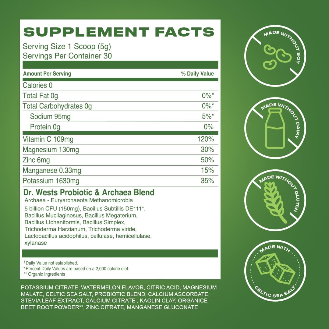 Prolytes Electrolyte Powder with Probiotics for Gut Health - Sugar Free Keto Hydration Drink for Men and Women - Watermelon Flavor