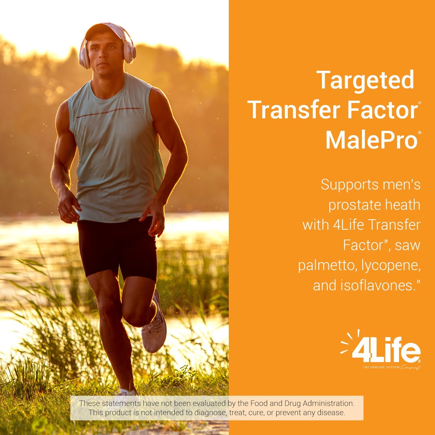 Prostate and Urinary Tract Health Support Supplement for Men - 4Life Transfer Factor MalePro - 90 Softgels with Saw Palmetto, Lycopene, Selenium, and Kudzu