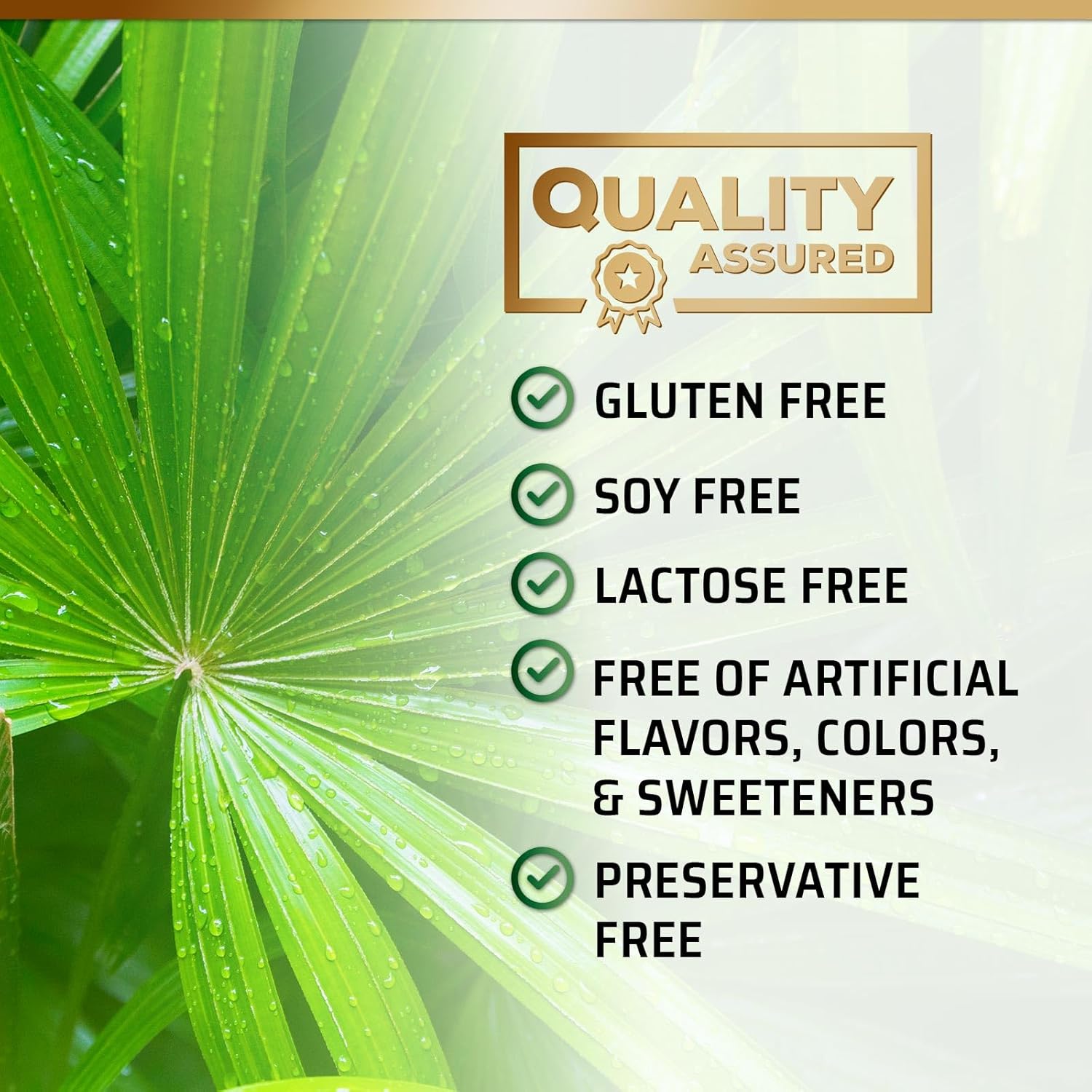Prostate Health Supplement 1000MG - Saw Palmetto Extract for Men's Health - Supports Urinary Health - 60 Capsules