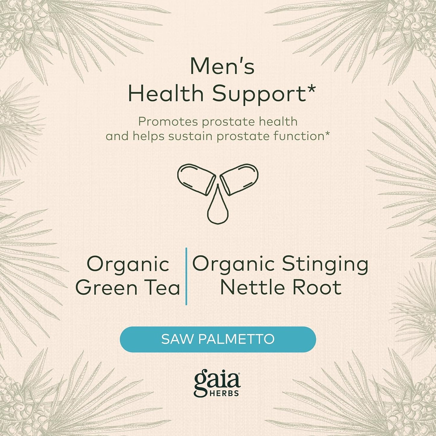 Prostate Health Support - Gaia Herbs Supplement with Saw Palmetto, Green Tea, Nettle Root, White Sage - 60 Vegan Capsules