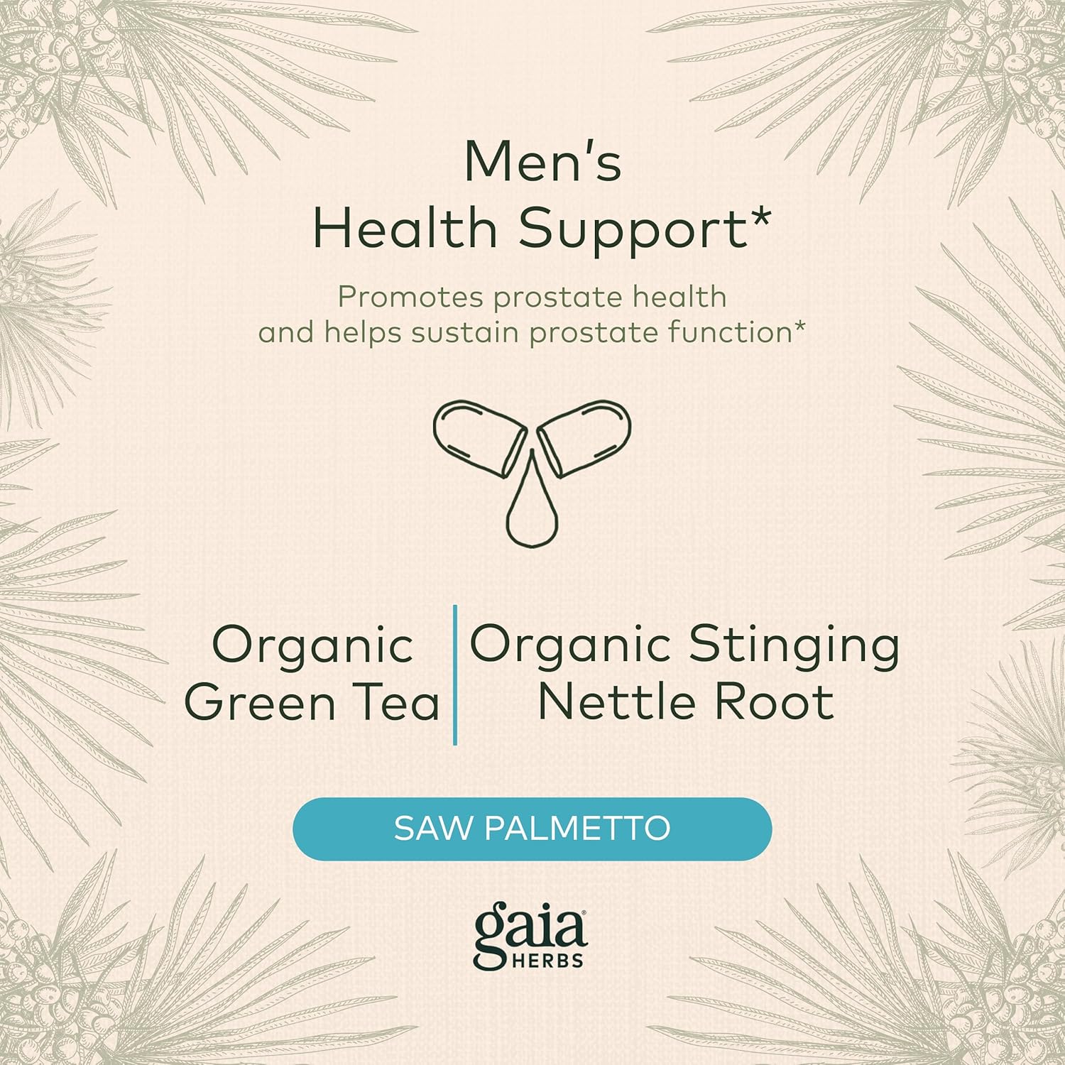Prostate Health Support - Gaia Herbs Supplement with Saw Palmetto, Green Tea, Nettle Root, White Sage - 60 Vegan Capsules