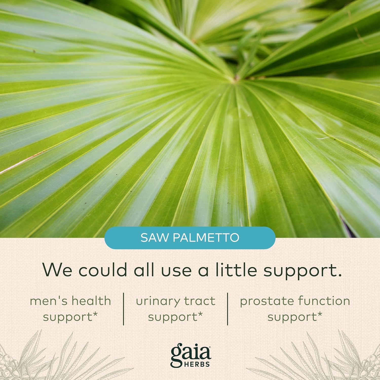 Prostate Health Support - Gaia Herbs Supplement with Saw Palmetto, Green Tea, Nettle Root, White Sage - 60 Vegan Capsules