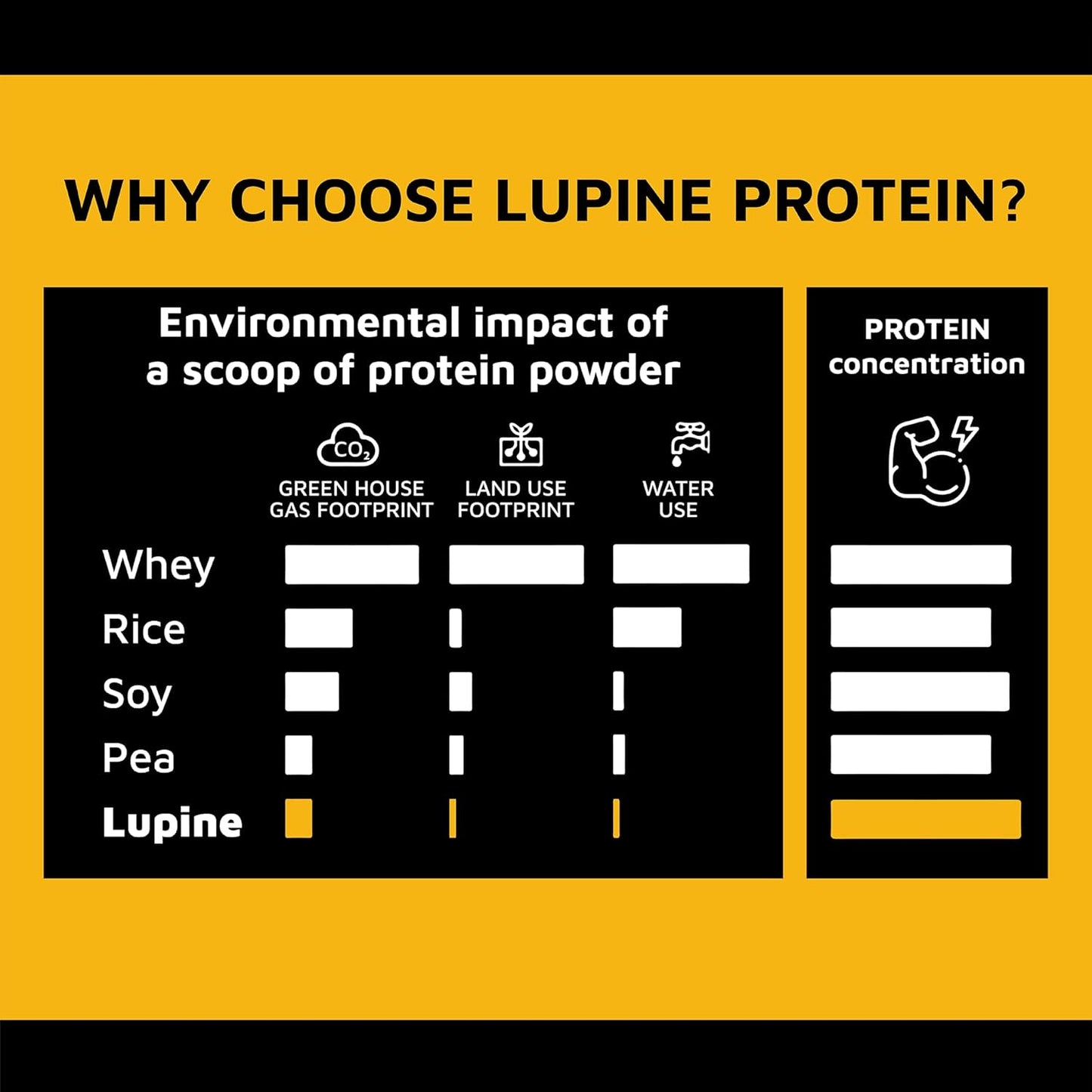 Prote&co Lupine Protein Powder - 24g Plant Based Protein, Non-GMO, Soy-Free, Dairy-Free, Gluten-Free, Chocolate Flavored - 1.63 lb