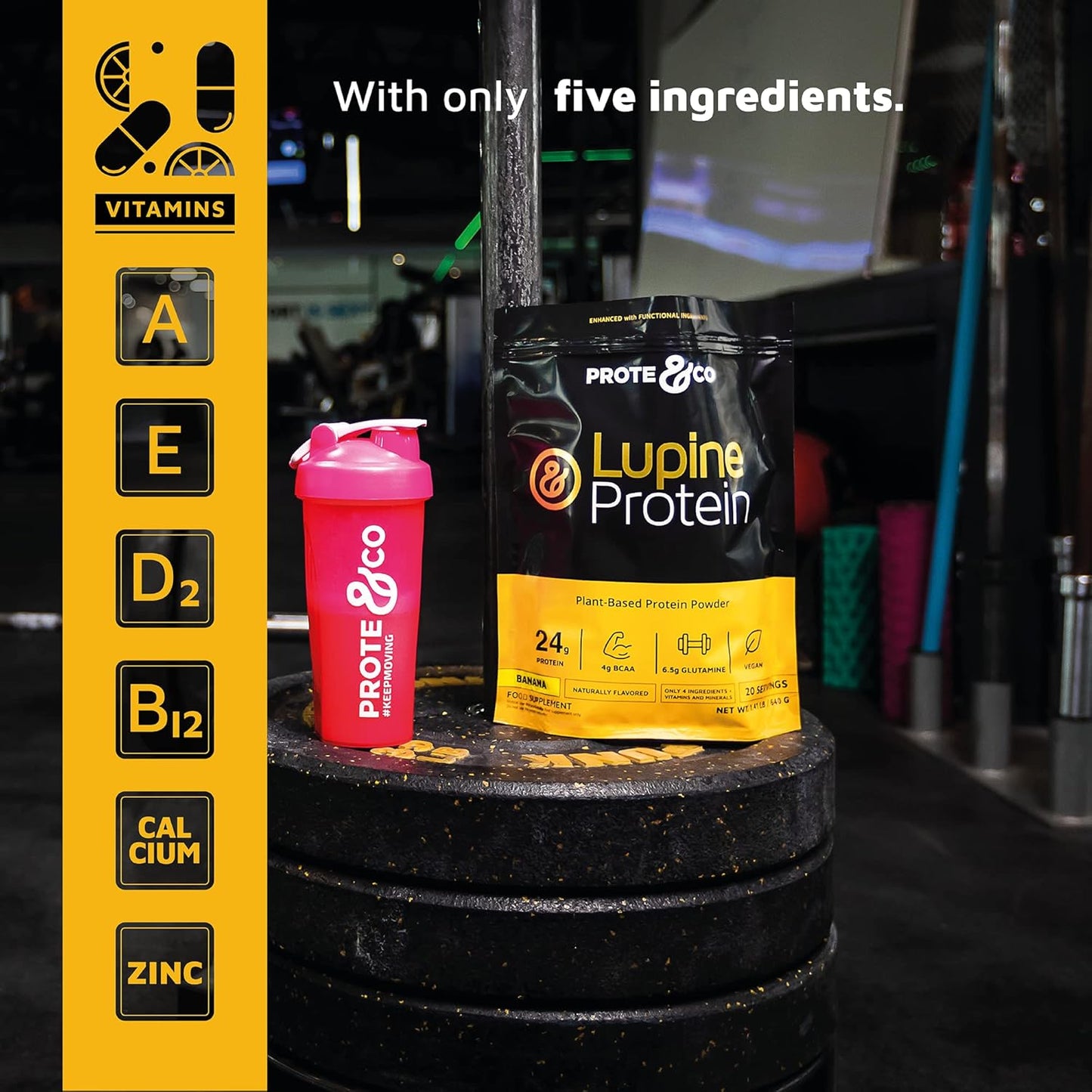 Prote&co Lupine Protein Powder - 24g Plant Based Protein, Non-GMO, Soy-Free, Dairy-Free, Gluten-Free, Chocolate Flavored - 1.63 lb