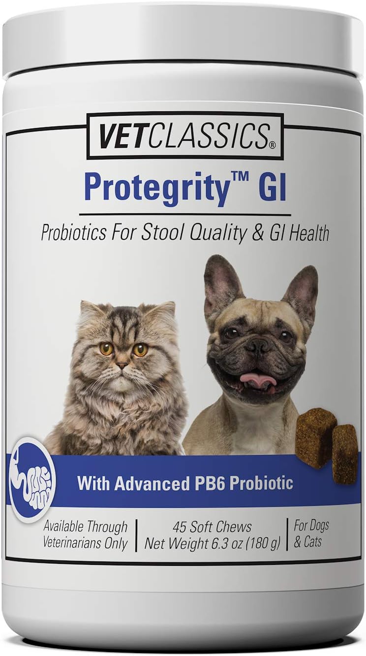 Protegrity GI Probiotics Soft Chews for Dogs & Cats, Supports Stool Quality & GI Health in Stressed Pets