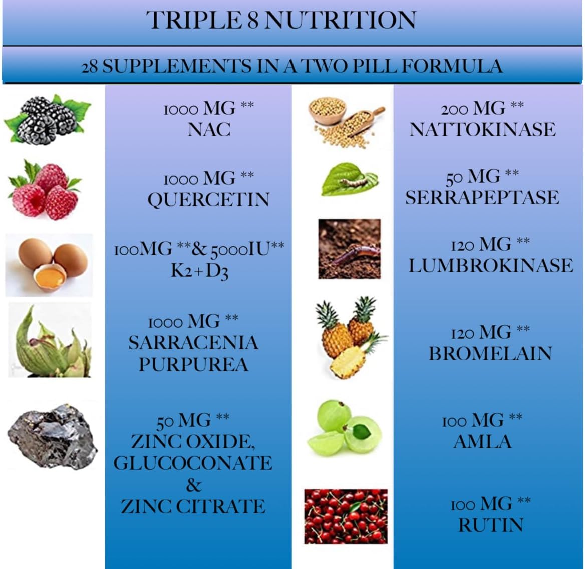 Protein Purge 28 Supplement Blend with Nattokinase, Bromelain, NAC, Turmeric, and Curcumin