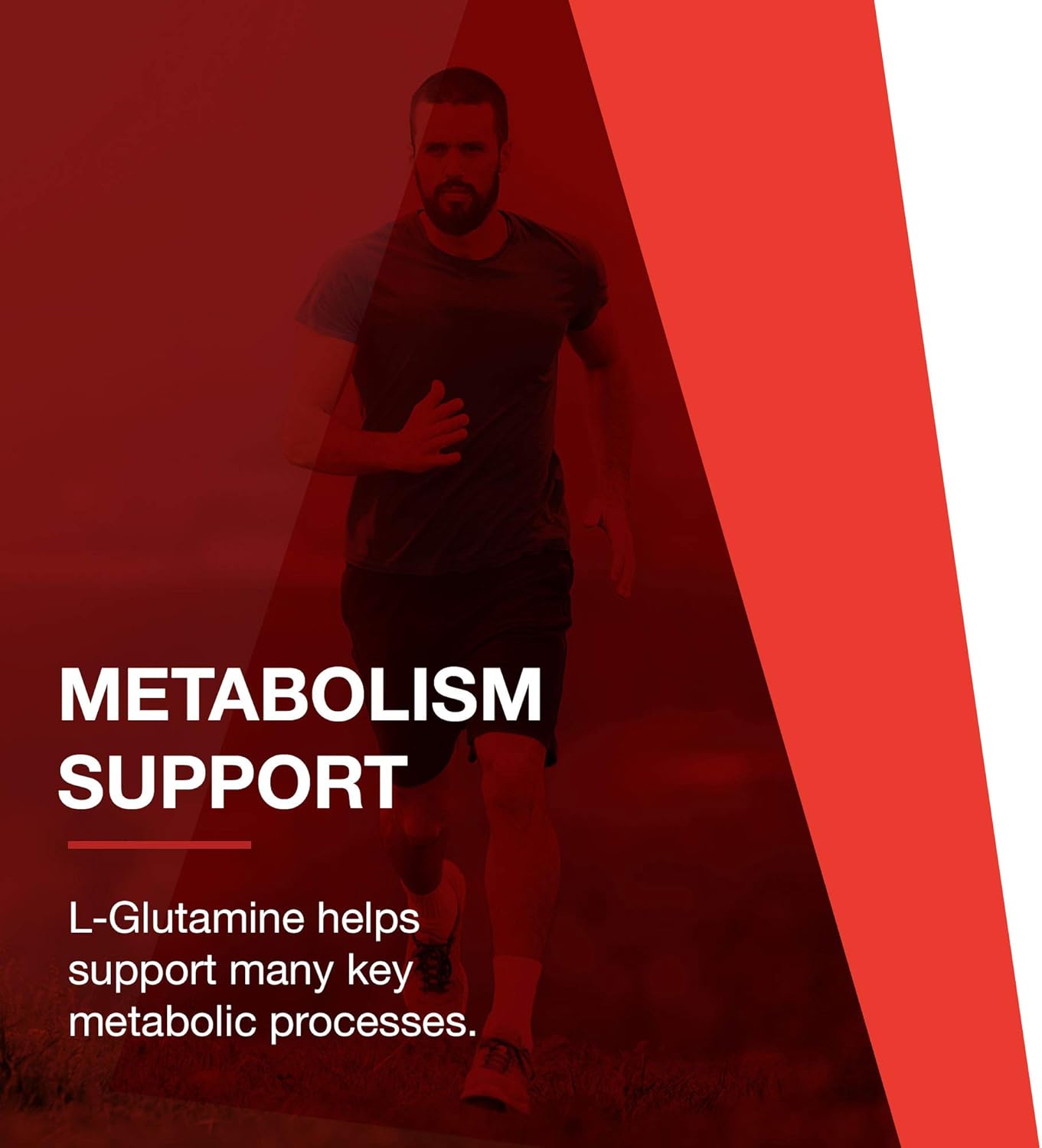 Protocol L-Glutamine 1000mg Capsules - Muscle, Gut, and Immune Health Support - 120 Vegetarian Capsules