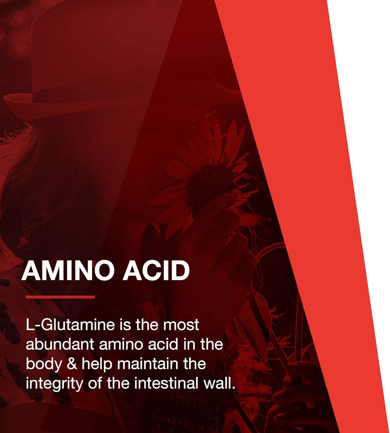 Protocol L-Glutamine Powder - 1lb - Supports Muscle, Gut Health, Immune System - Pure Formula