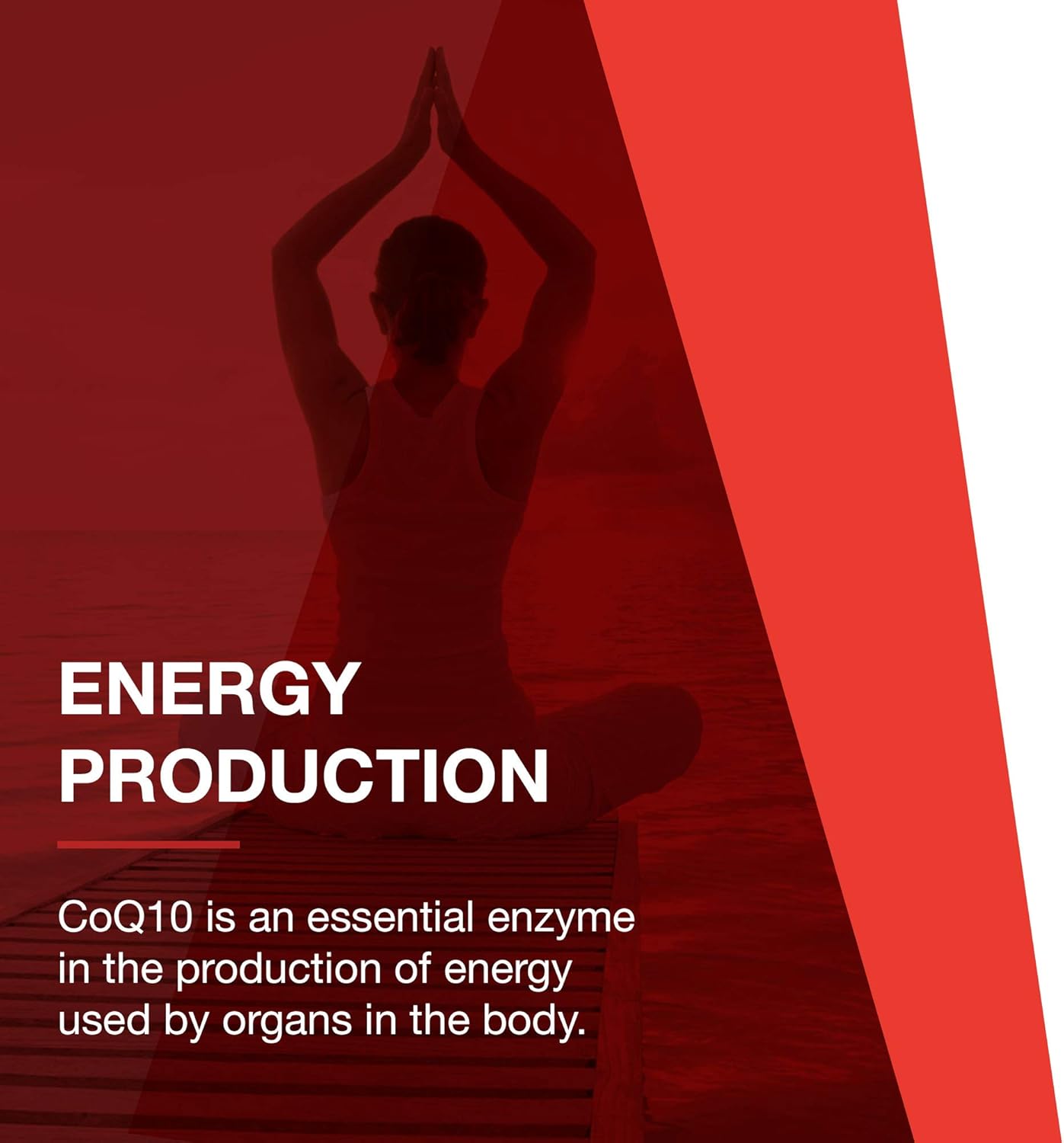 Protocol Ubiquinol 200mg Softgels - CoQ10 Heart Health Support - Antioxidant Formula - 60 Softgels