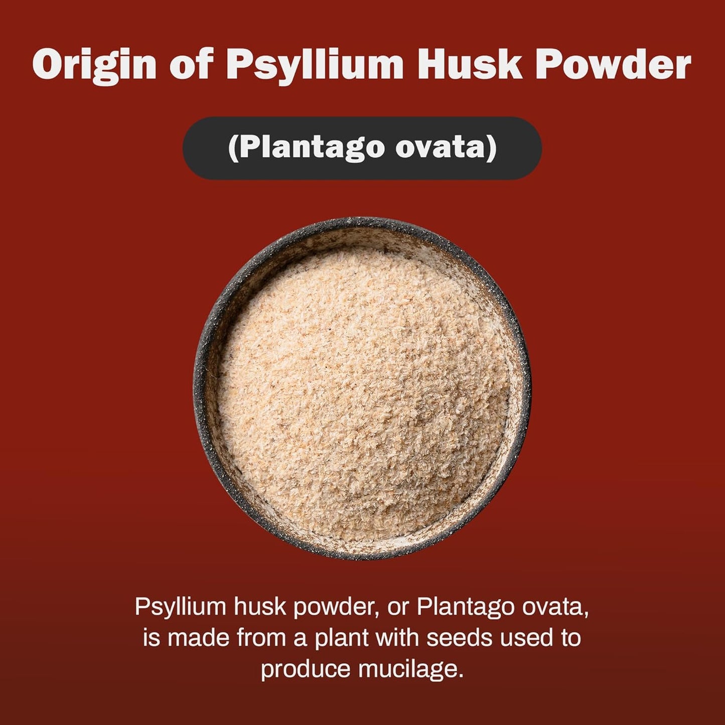Psyllium Husk Powder 1kg - Bulk-Forming Laxative for Regular Bowel Movements & Improved Digestion