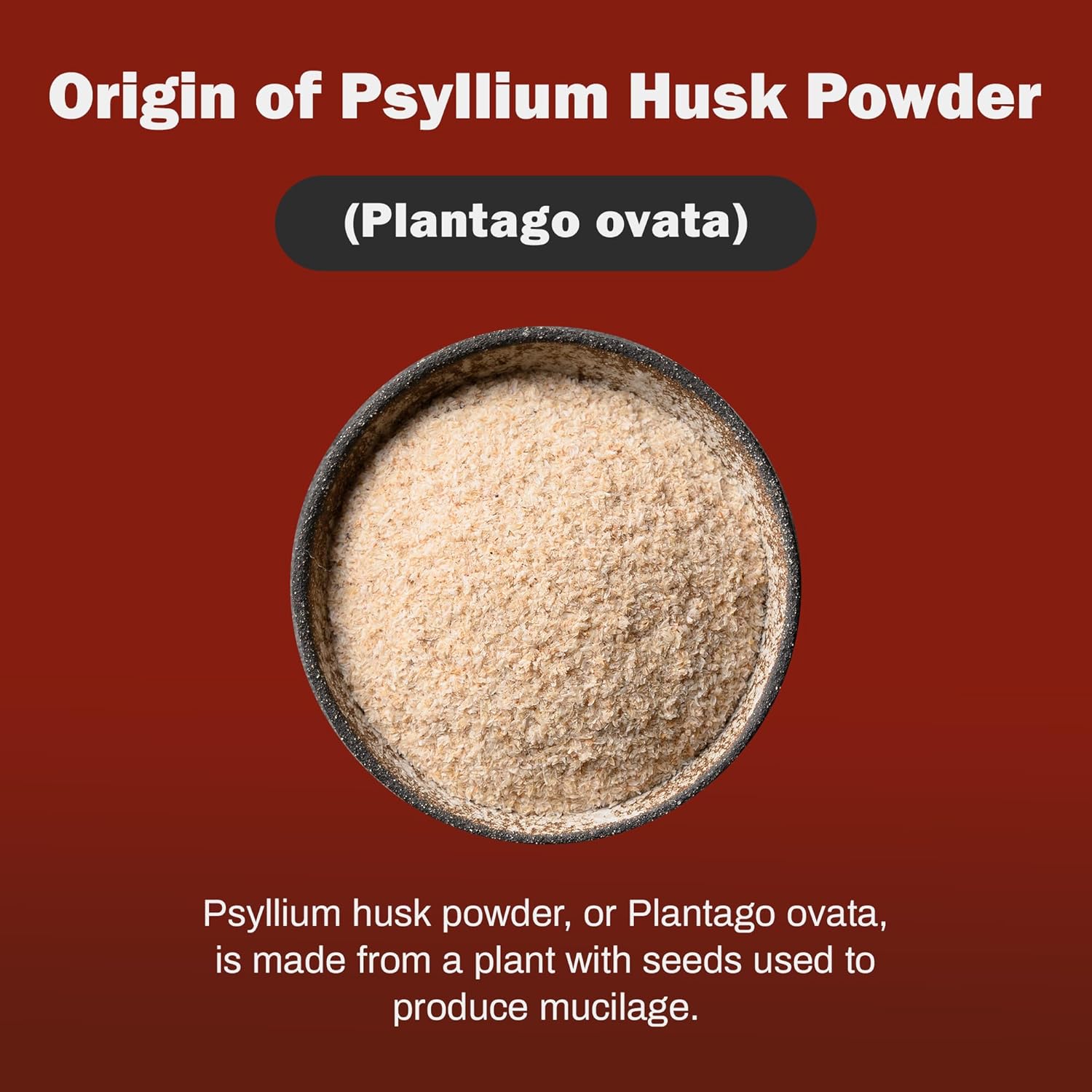 Psyllium Husk Powder 1kg - Bulk-Forming Laxative for Regular Bowel Movements & Improved Digestion