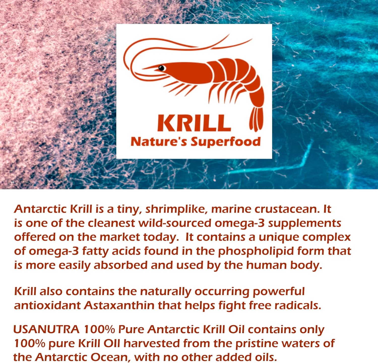 Pure Antarctic Krill Oil Softgels with Omega-3 EPA DHA Astaxanthin - 1000mg Daily (2 Softgels) - USA Made