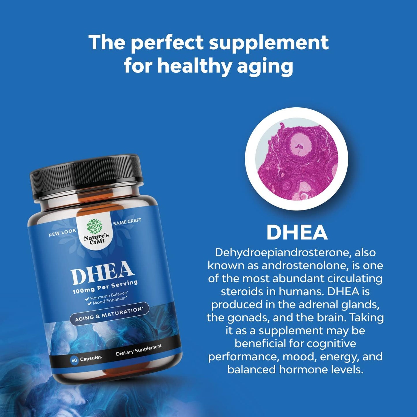 Pure DHEA and Zinc Bundle for Women's Health - Thyroid, Immune, Bone, Mood, and Heart Support
