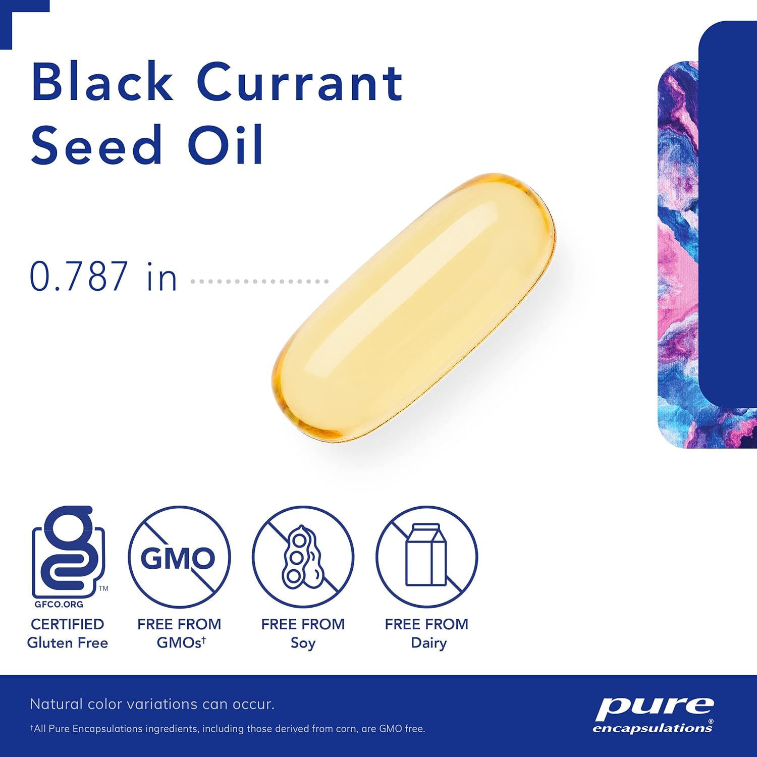 Pure Encapsulations Black Currant Seed Oil Softgel Capsules - 250 Count | Hypoallergenic Dietary Supplement