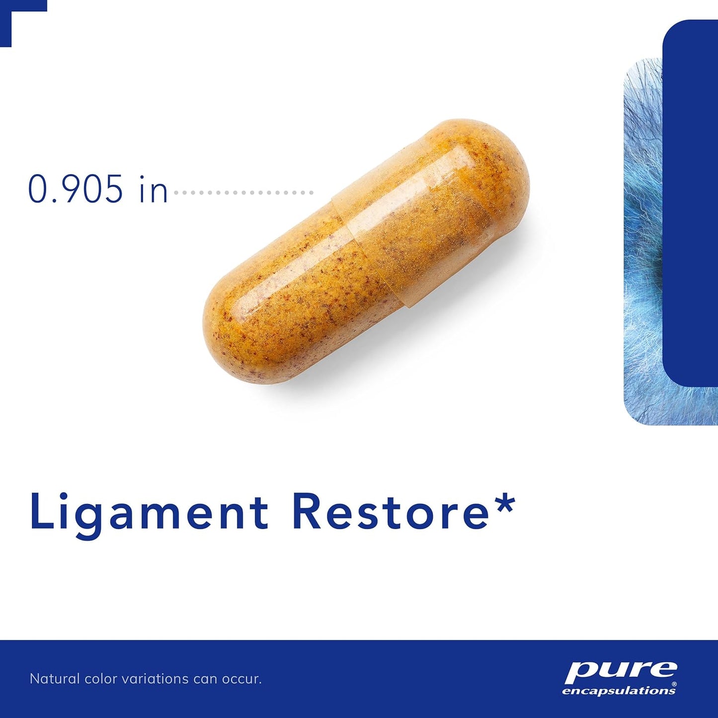 Pure Encapsulations Ligament Restore 240 Capsules - Support Healthy Tendons, Ligaments, and Joints with Dietary Supplement