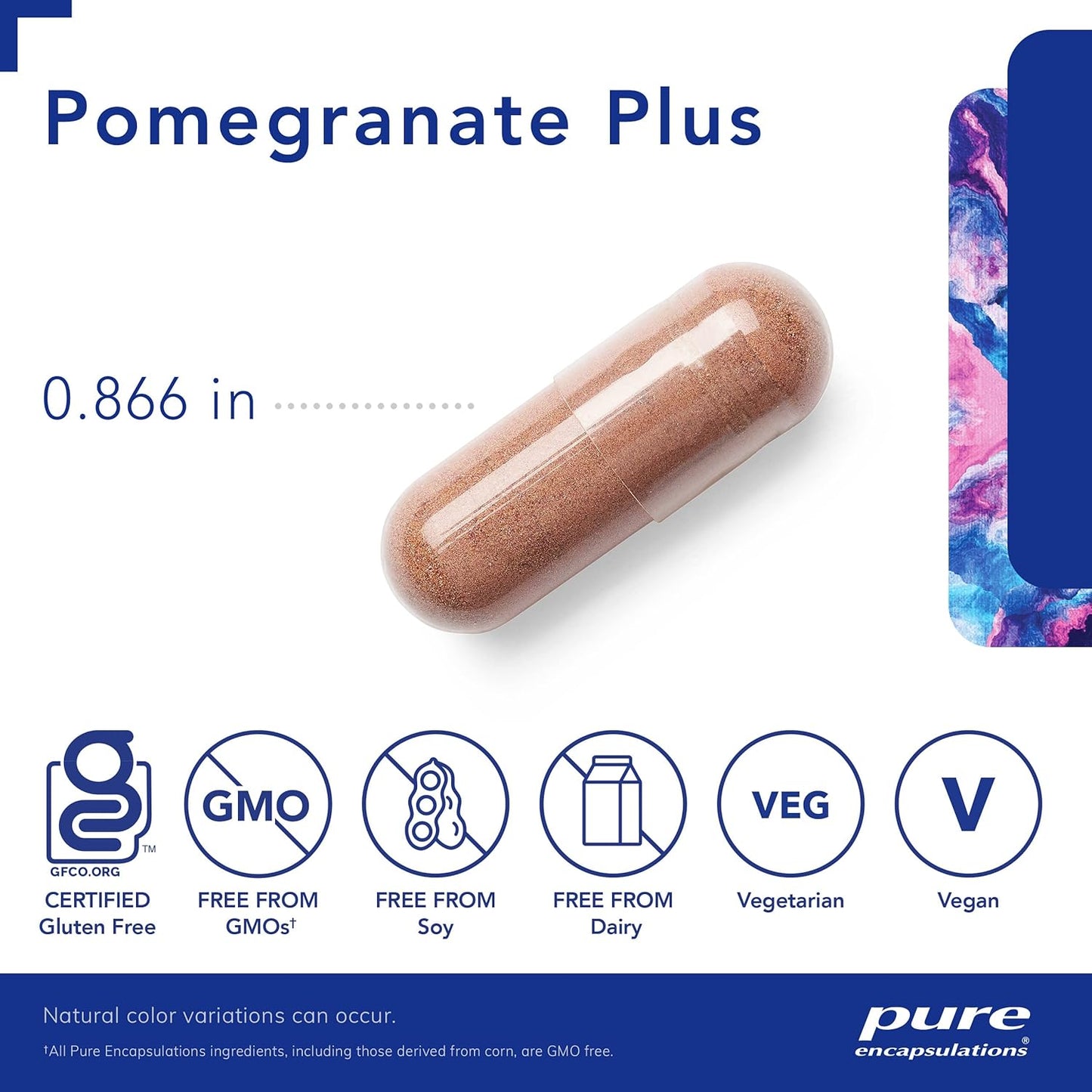 Pure Encapsulations Pomegranate Plus Capsules for Vascular and Cellular Health - Antioxidant Support - 120 Count