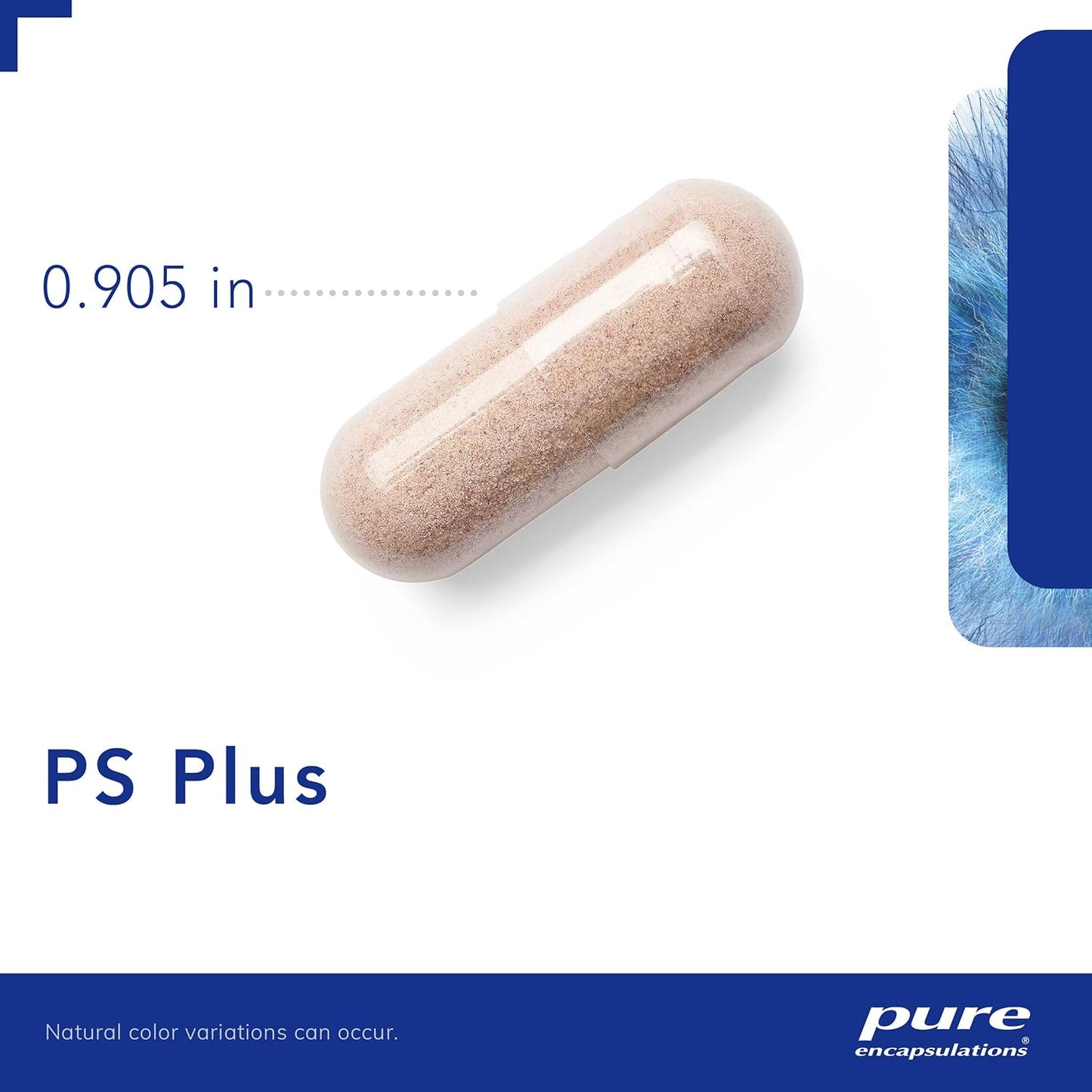Pure Encapsulations PS Plus - Memory and Cognitive Function Support - 60 Capsules