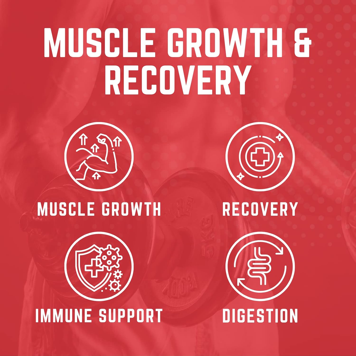 Pure Fermented L Glutamine Powder for Recovery, Hydration, Volume, & Gut Health - 60 Servings