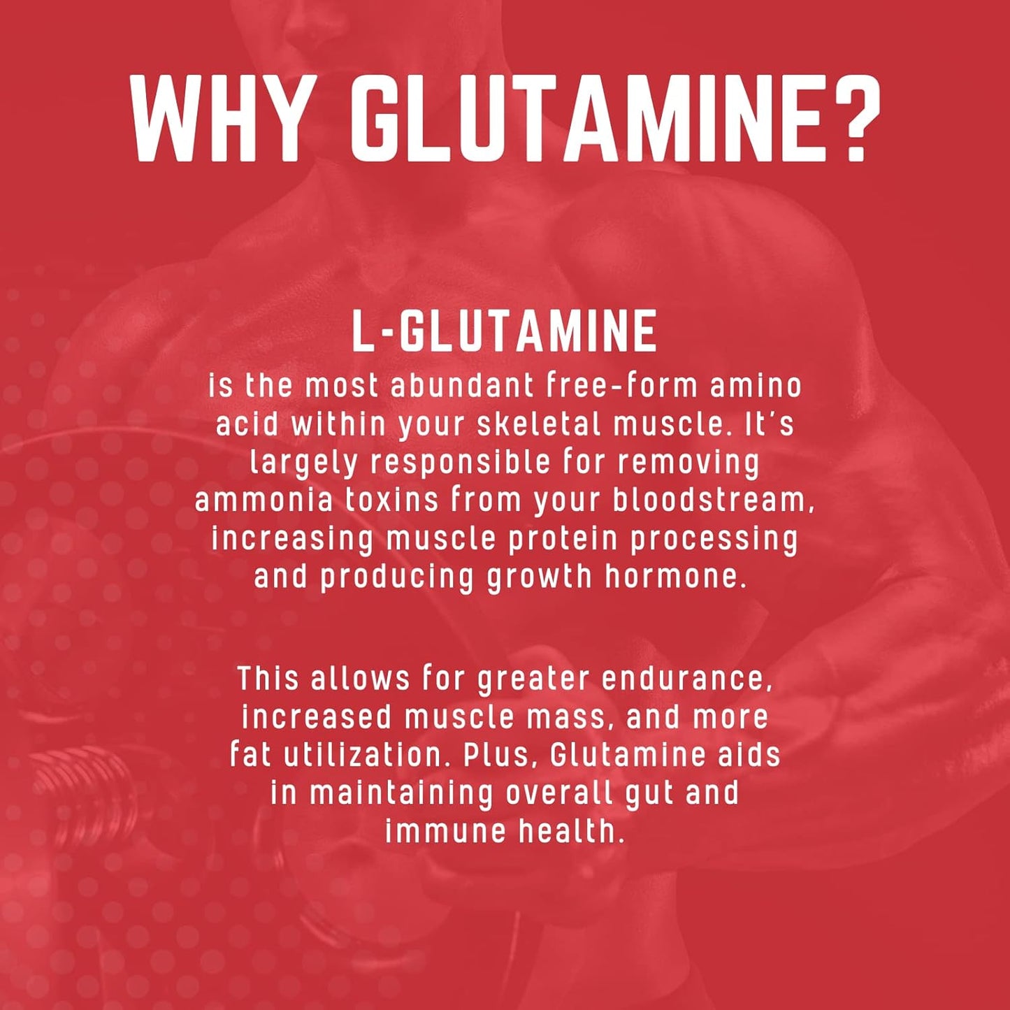 Pure Fermented L Glutamine Powder for Recovery, Hydration, Volume, & Gut Health - 60 Servings