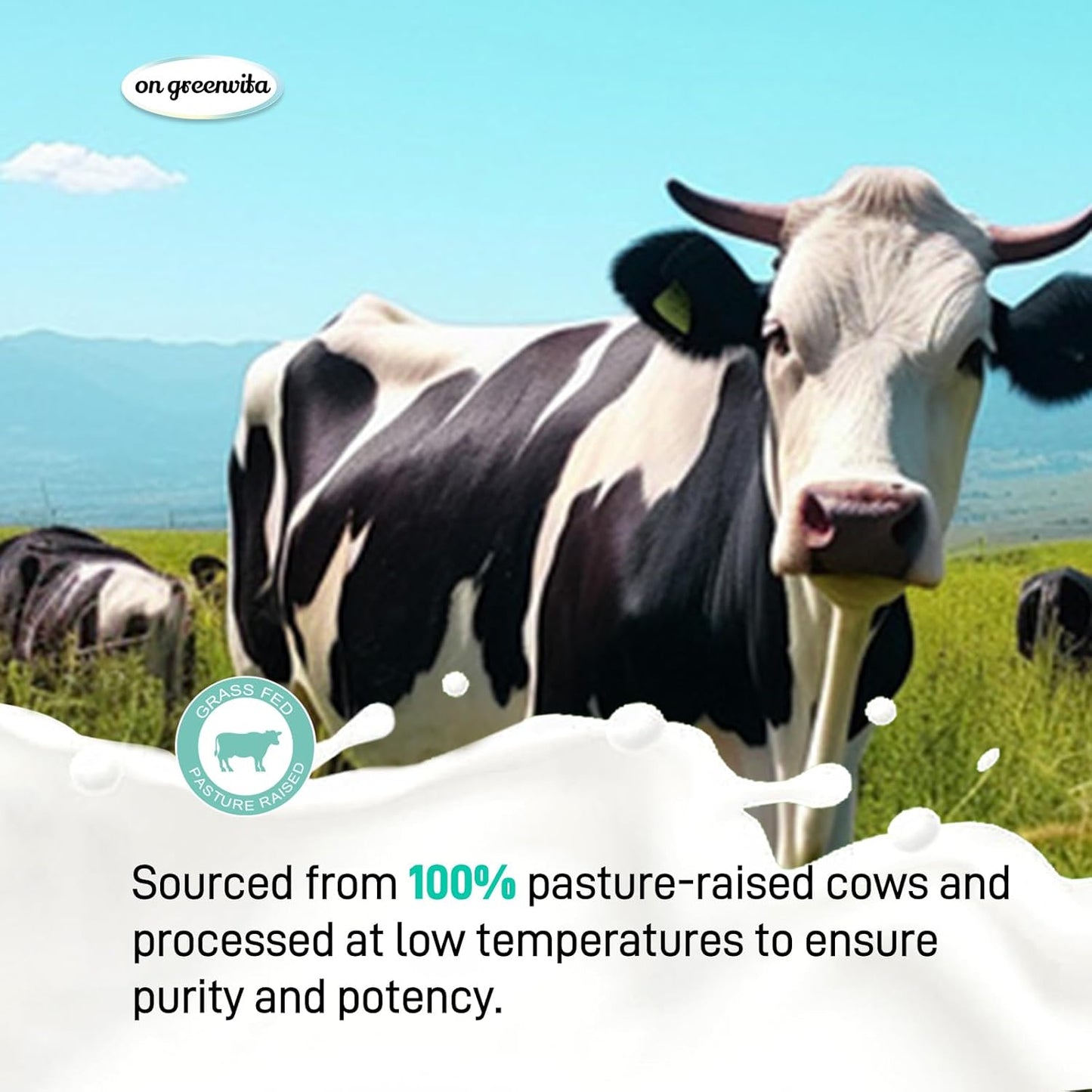 Pure Grass-Fed Liposomal Bovine Colostrum Powder - 72 Servings, 180g - Gut & Immune Support, Hair Growth - Human Supplement