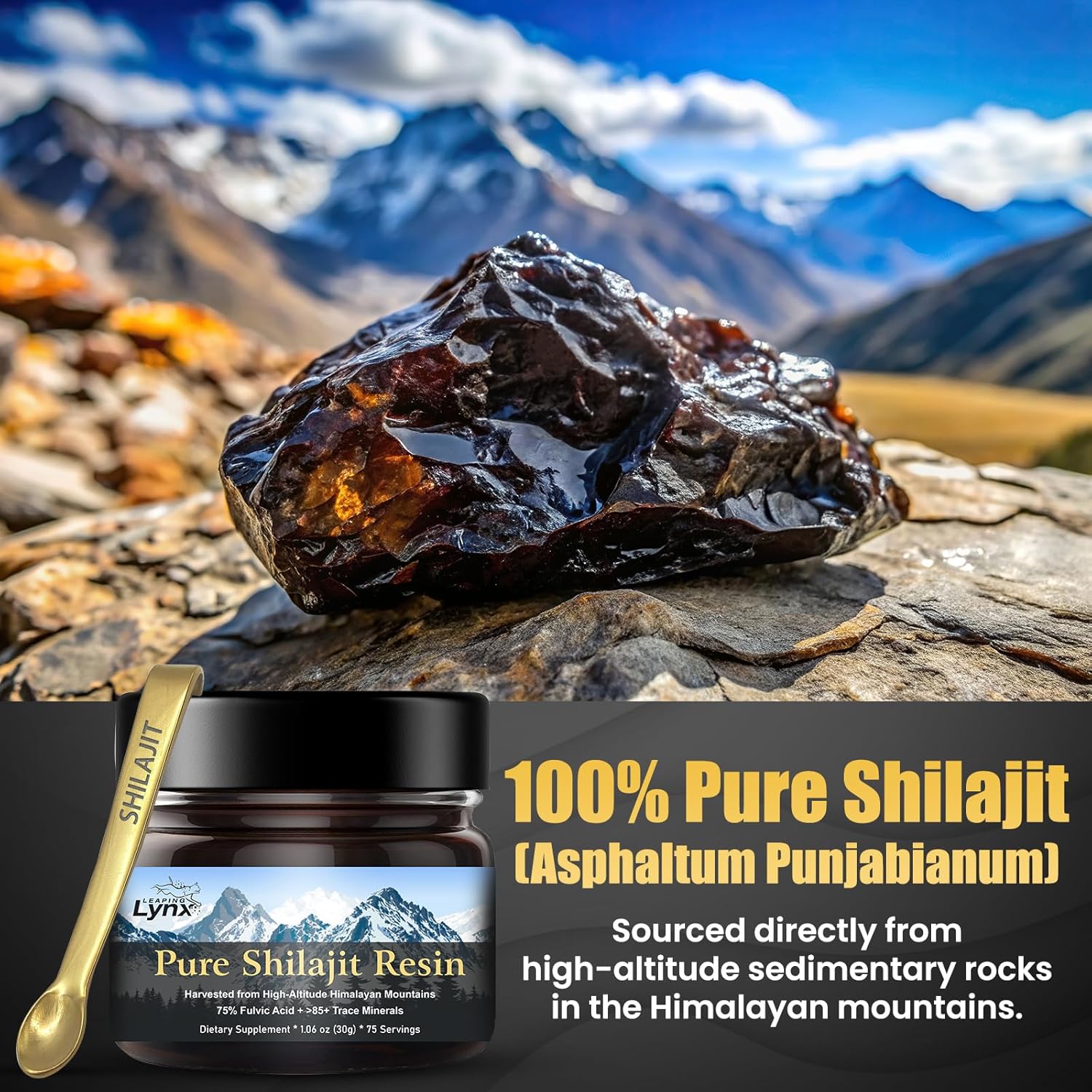 Pure Himalayan Organic Leaping Lynx Shilajit Resin [1,000 mg] ||Gold Grade|| for Men & Women - Lab Purified with Max Potency Fulvic Acid & Trace Minerals for Energy & Immune Boost