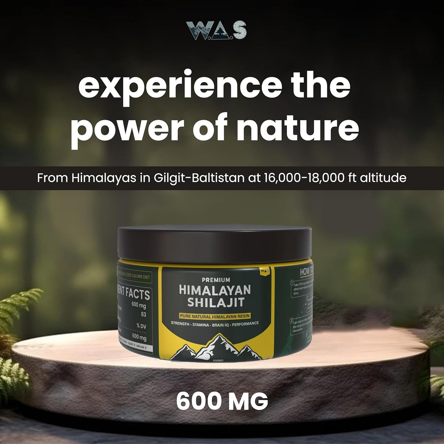 Pure Himalayan Shilajit Resin: High Potency for Men & Women - Organic Energy & Immune Booster with 85+ Trace Minerals