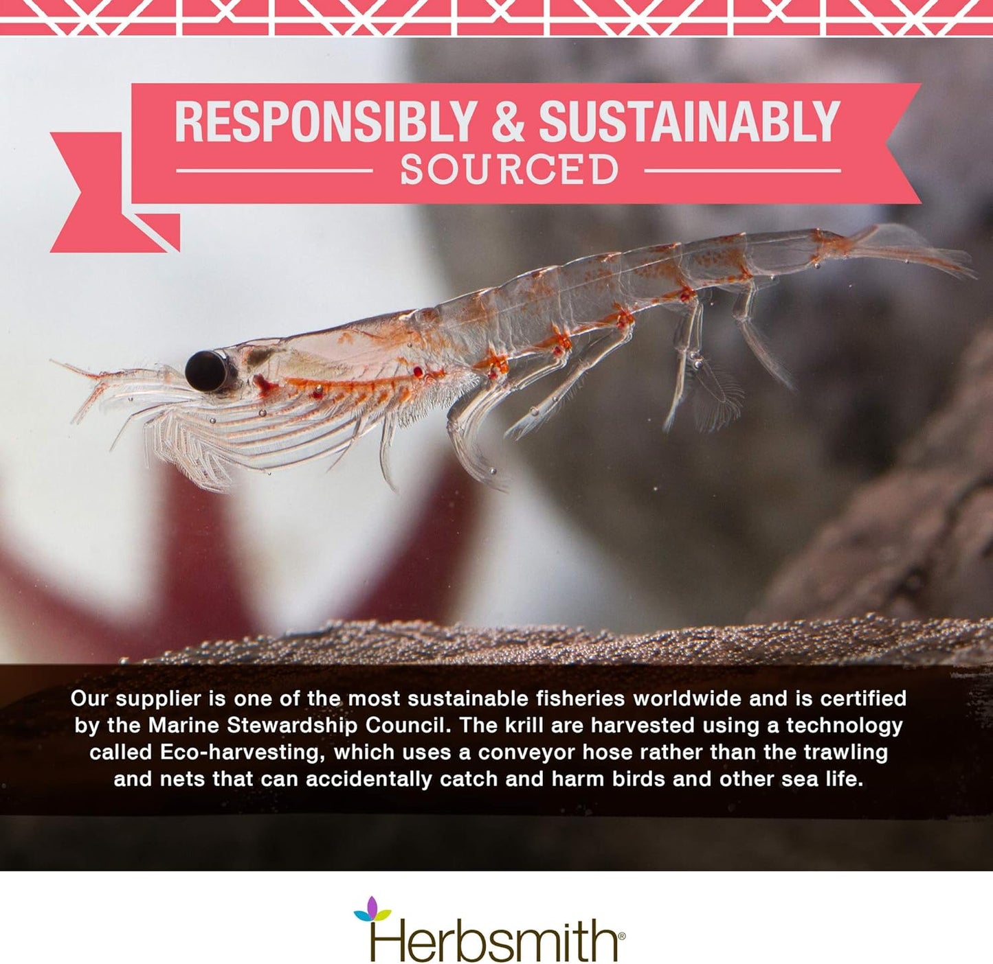 Pure Krill for Dogs - Wild-Caught Antarctic Krill with Astaxanthin - Rich in Omega 3s - 1 Ingredient - 150g