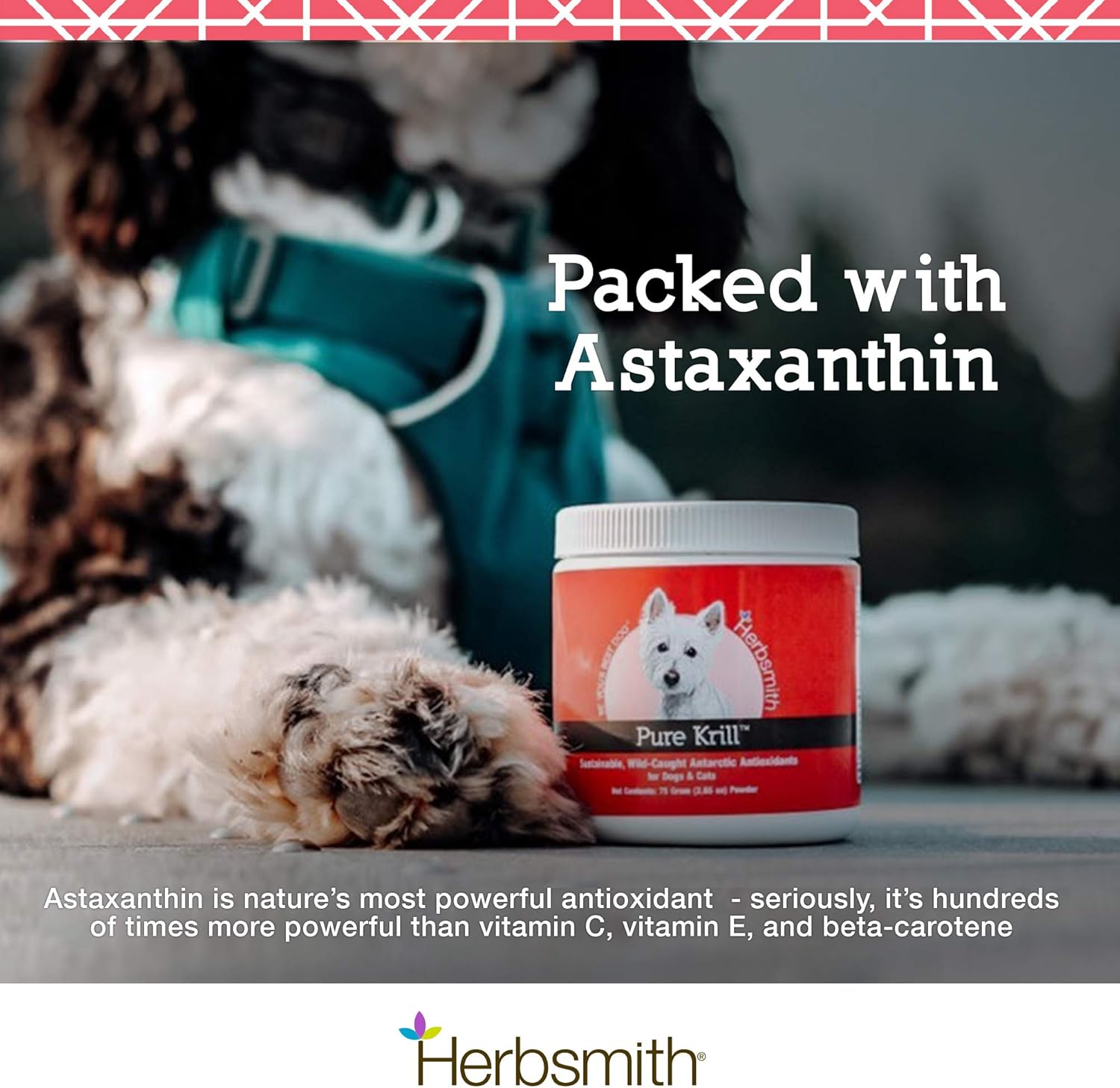 Pure Krill for Dogs - Wild-Caught Antarctic Krill with Astaxanthin - Rich in Omega 3s - 1 Ingredient - 150g