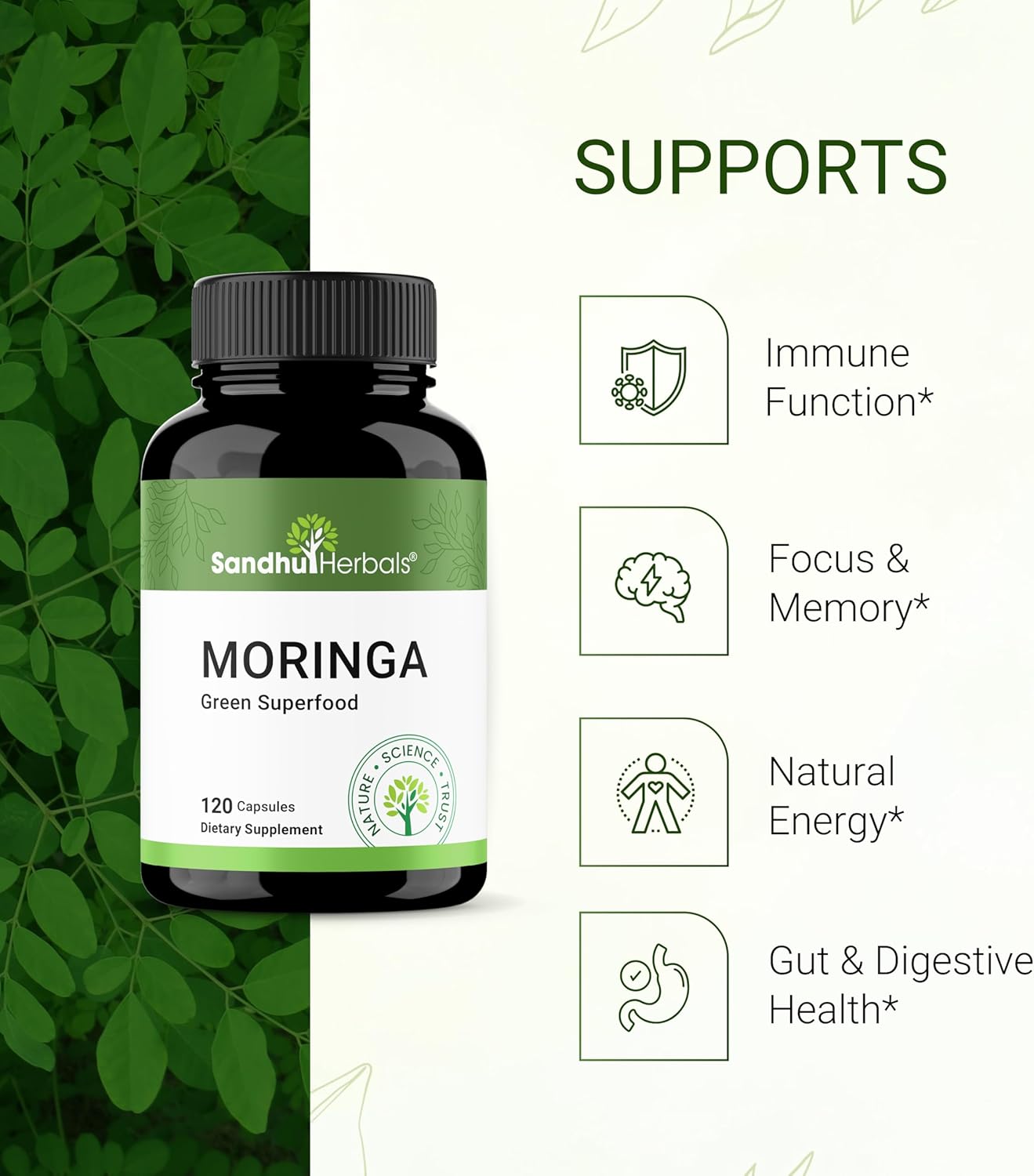 Pure Moringa Oleifera Capsules for Immune, Gut, Skin Health & Energy - 120 Count | Natural Antioxidant Superfood for Women & Men by SANDHUHERBALS