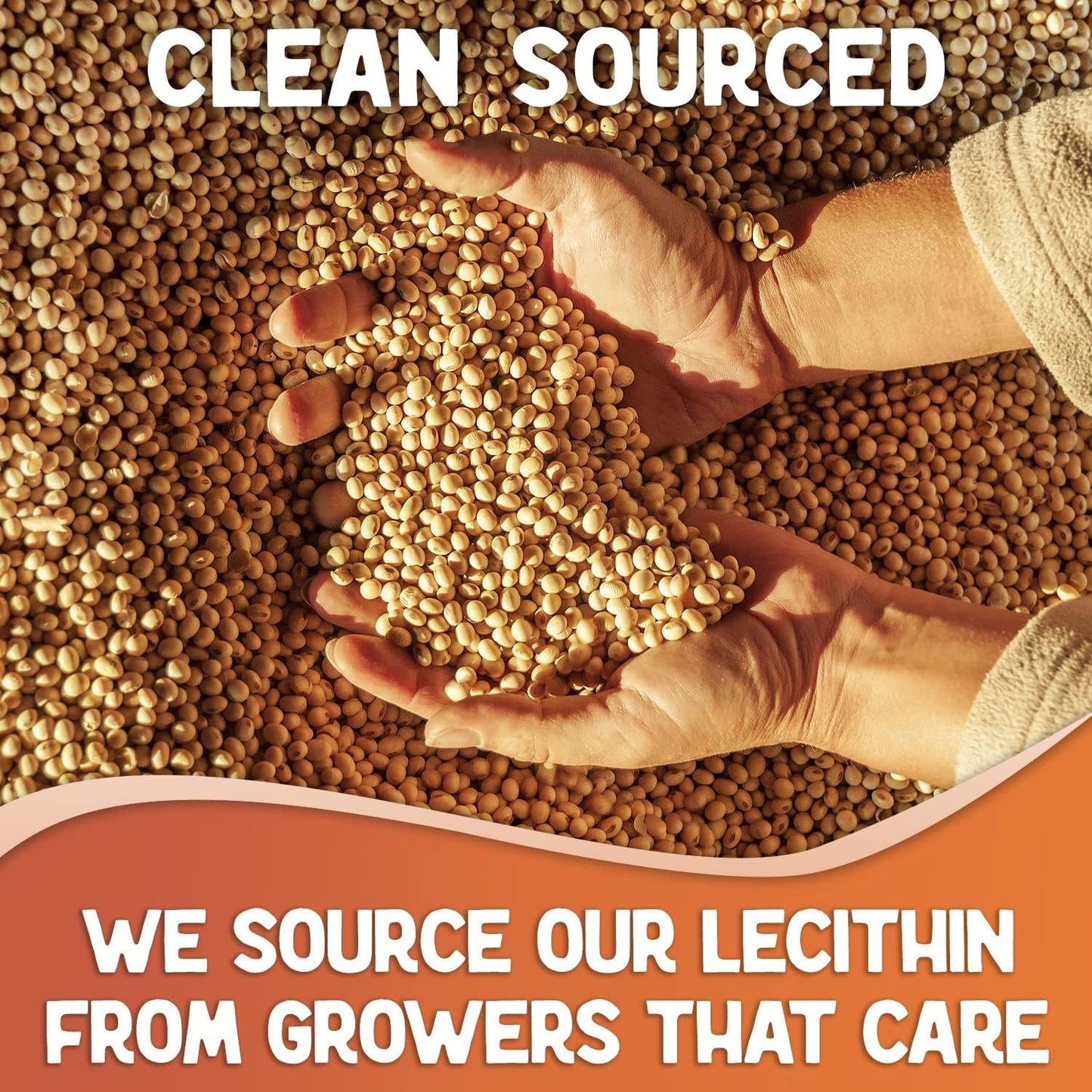 Pure Non-GMO Soy Lecithin Granules - Premium Grade Fat Emulsifier for Baking - 100% Soy Lethicin - 8 oz
