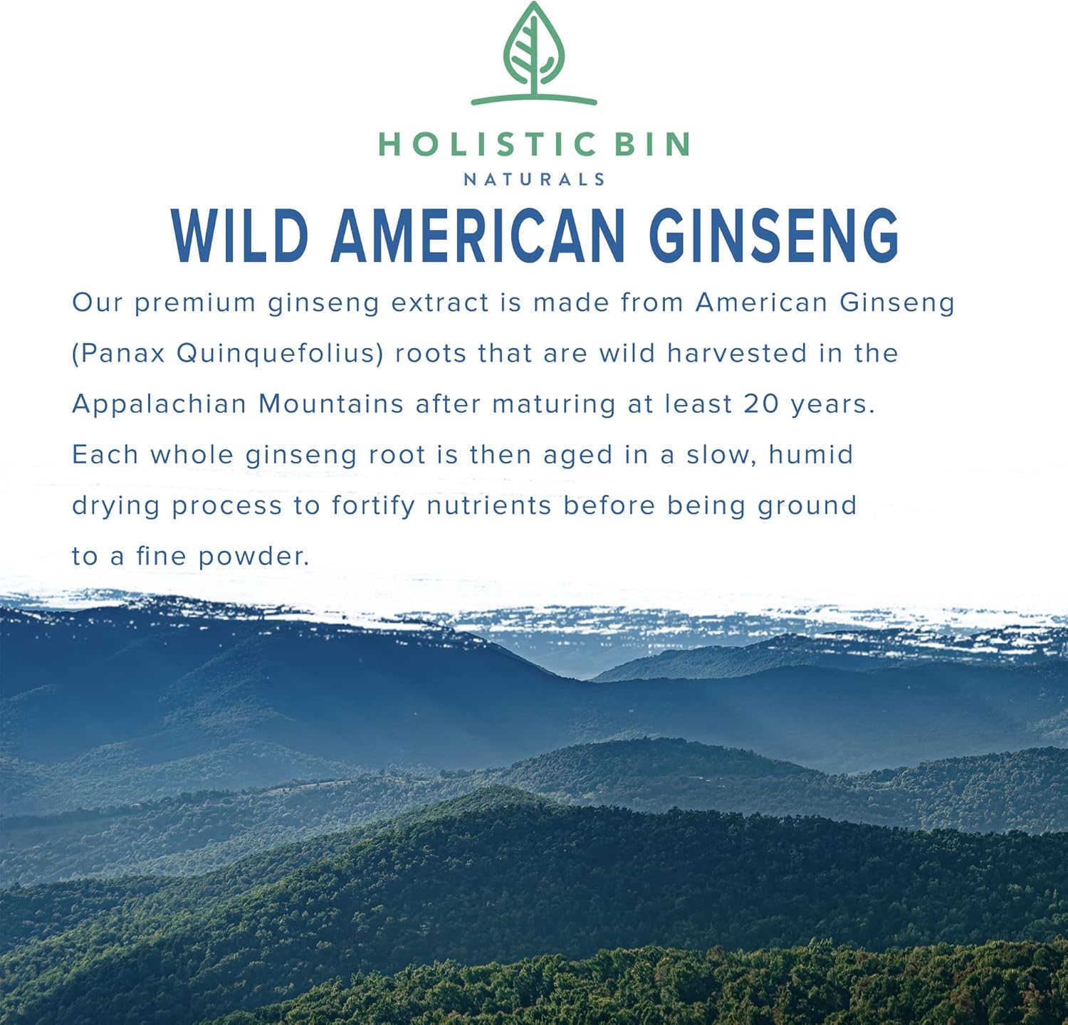 Pure Organic Wild American Ginseng Powder | 20+ Year Old Roots from Appalachia | No Fillers (25g)