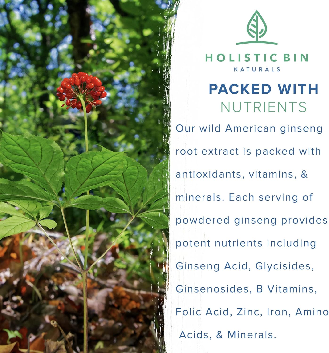 Pure Organic Wild American Ginseng Powder | 20+ Year Old Roots from Appalachia | No Fillers (25g)