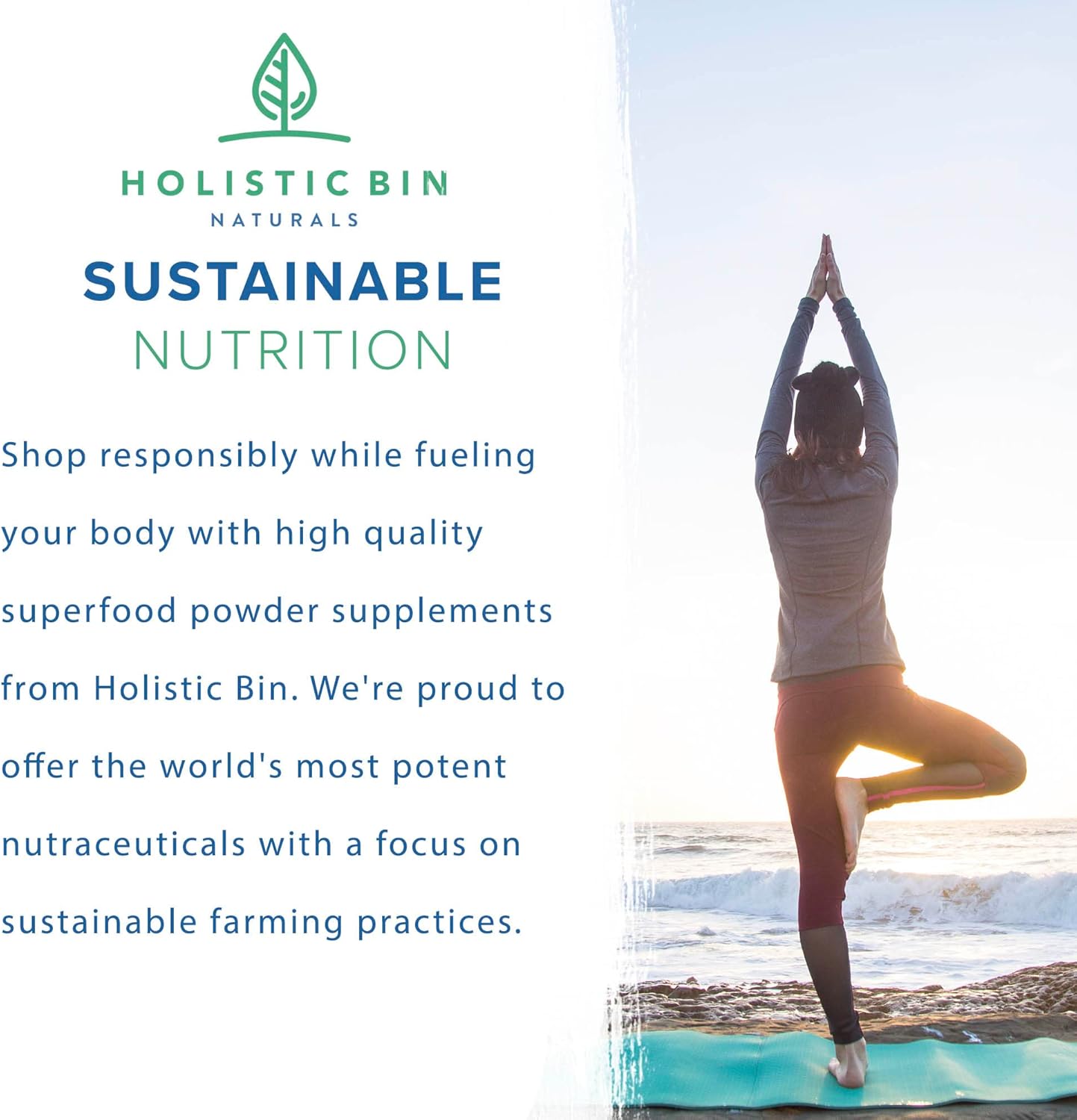 Pure Organic Wild American Ginseng Powder | 20+ Year Old Roots from Appalachia | No Fillers (25g)