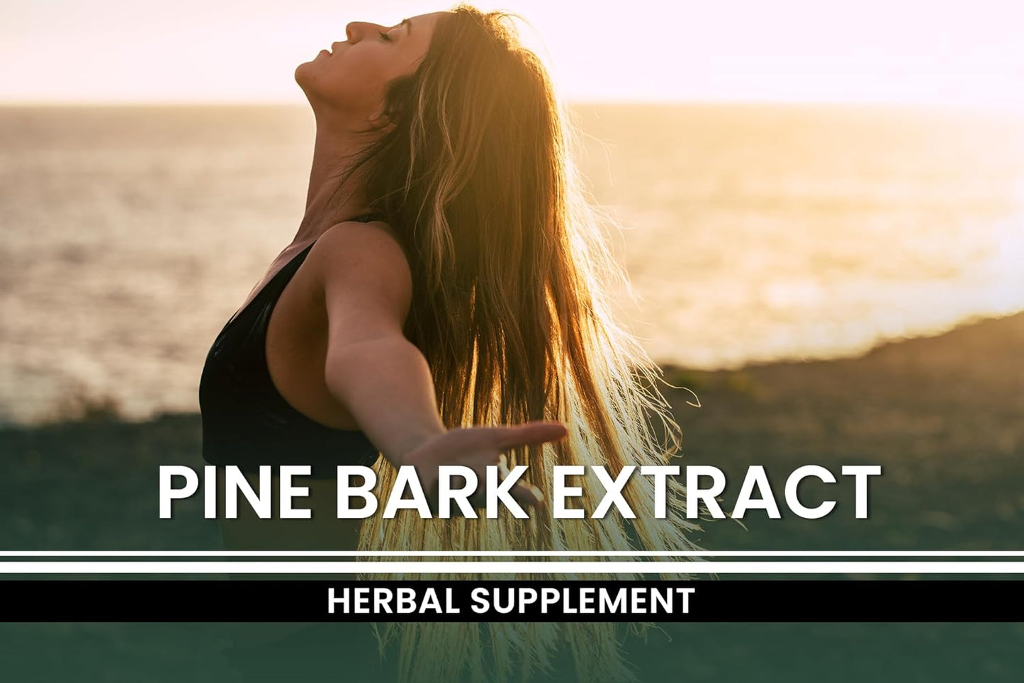 Pure Pine Bark Extract 730 Capsules | No Magnesium or Rice Fillers | Lab Verified, 100% Original Ingredients