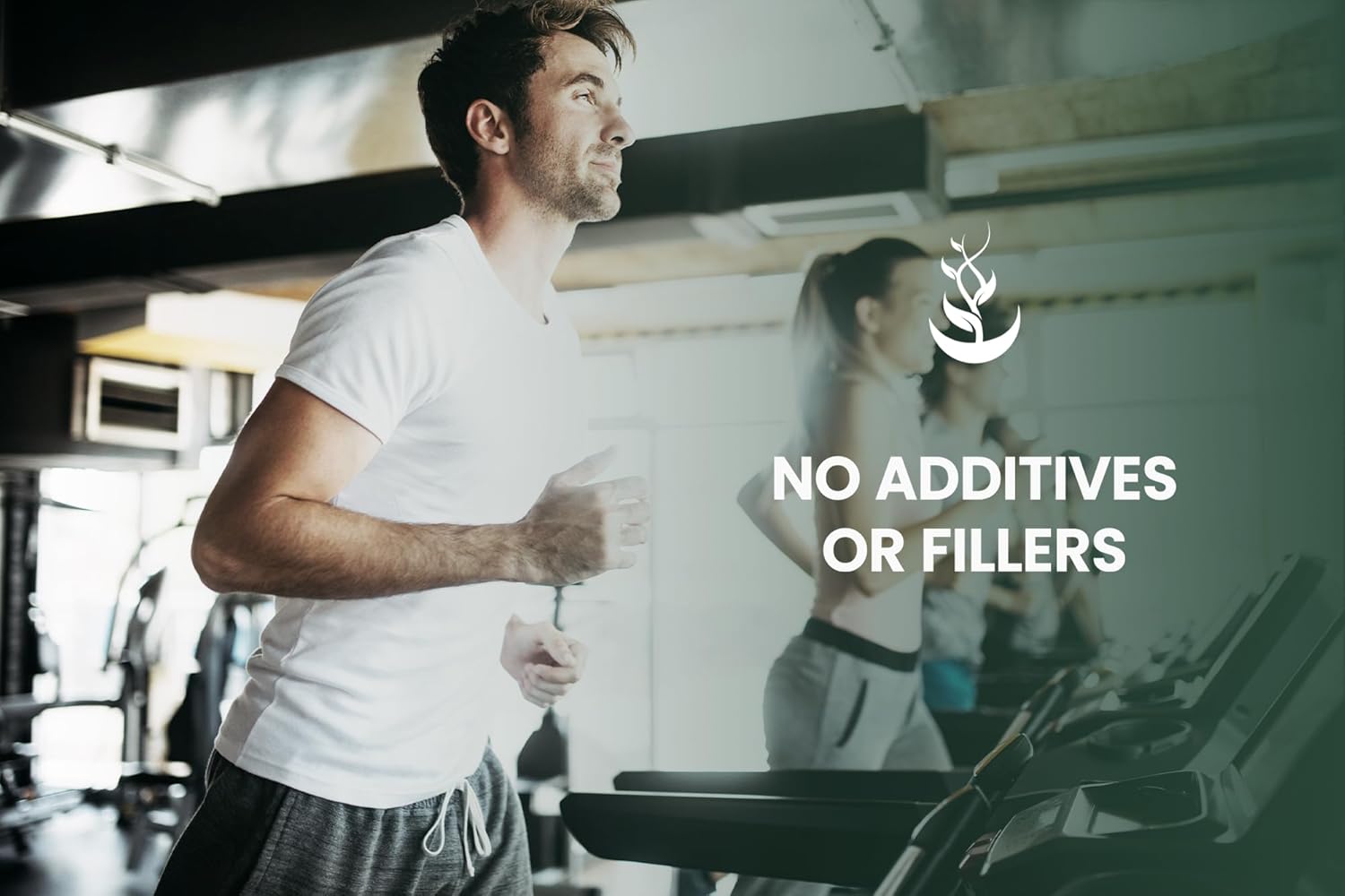 Pure Pine Bark Extract 730 Capsules | No Magnesium or Rice Fillers | Lab Verified, 100% Original Ingredients