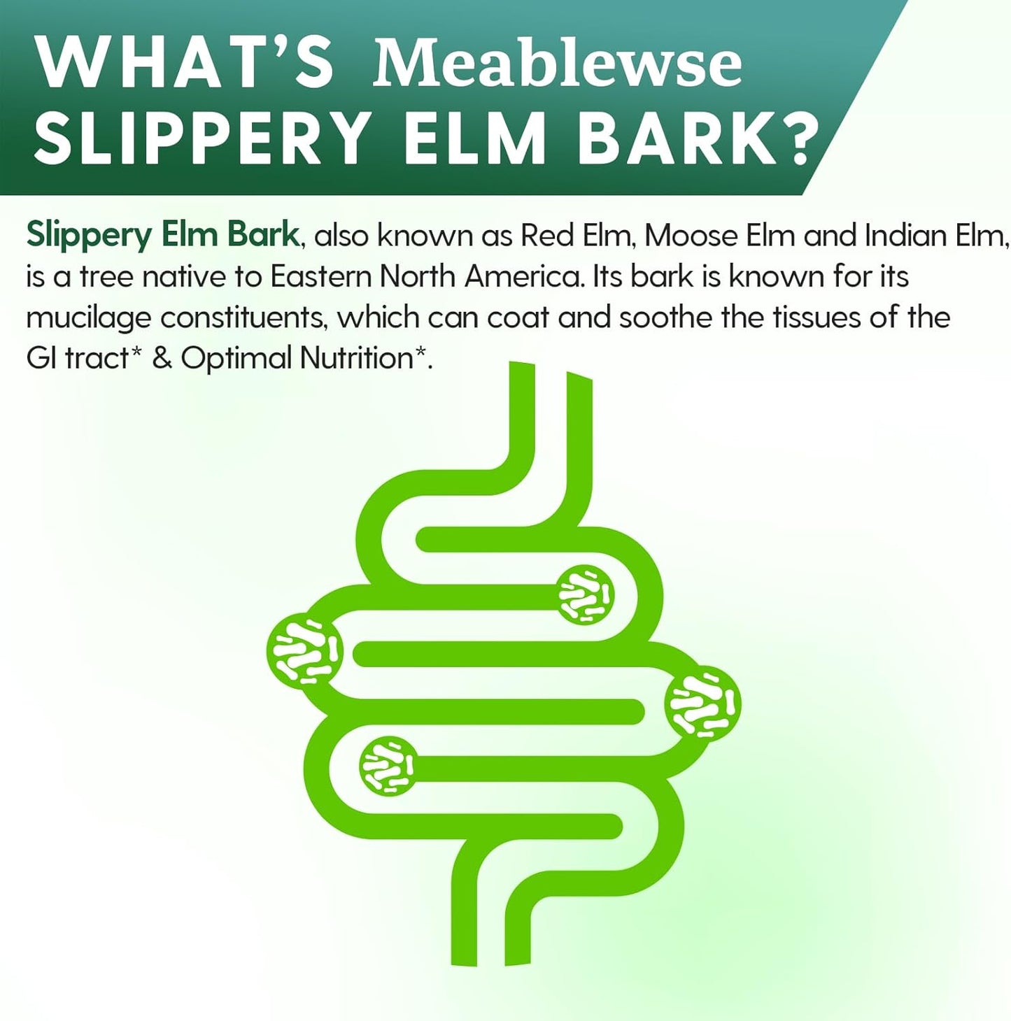 Pure Slippery Elm Bark Powder for Throat & Digestive Health - 3 LB, Vegan & Non-GMO, Made in USA