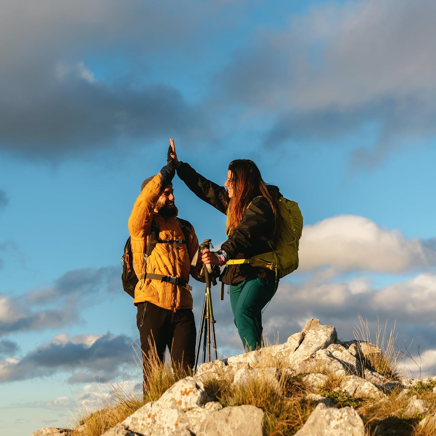 Pure & Undiluted Beet Root Capsules - 200 Count, No Additives - Earthborn Elements