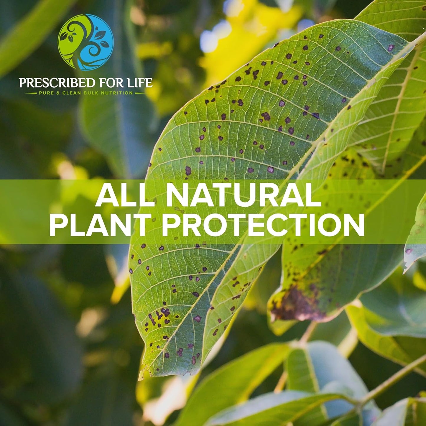 Pure USP & Food Grade Potassium Bicarbonate Powder for Plants, Winemaking, Baking - 39% K, 5kg / 11lb Crystalline Powder