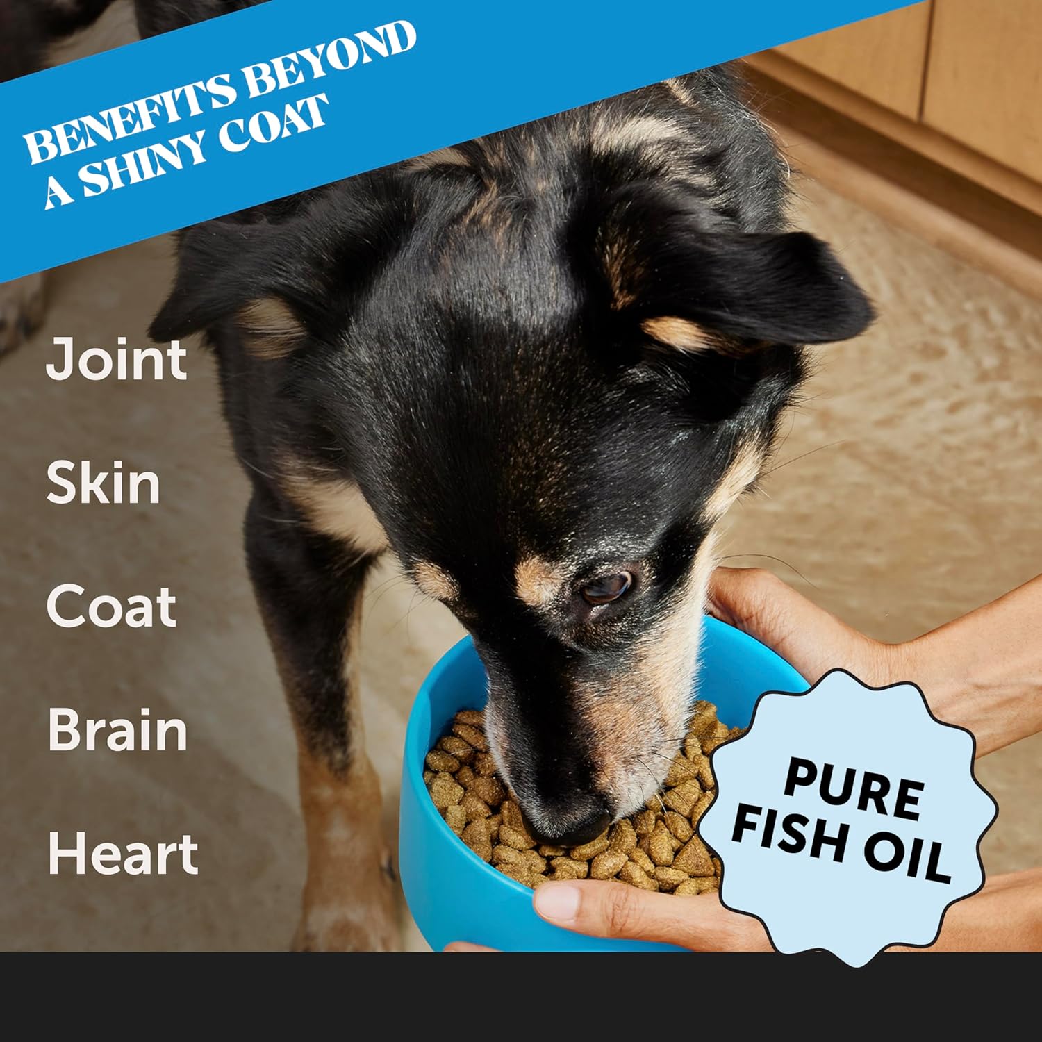 Pure Wild Alaskan Salmon Oil for Dogs and Cats - Omega-3 Fish Oil, Fatty Acids, Skin & Coat Health - 16 oz