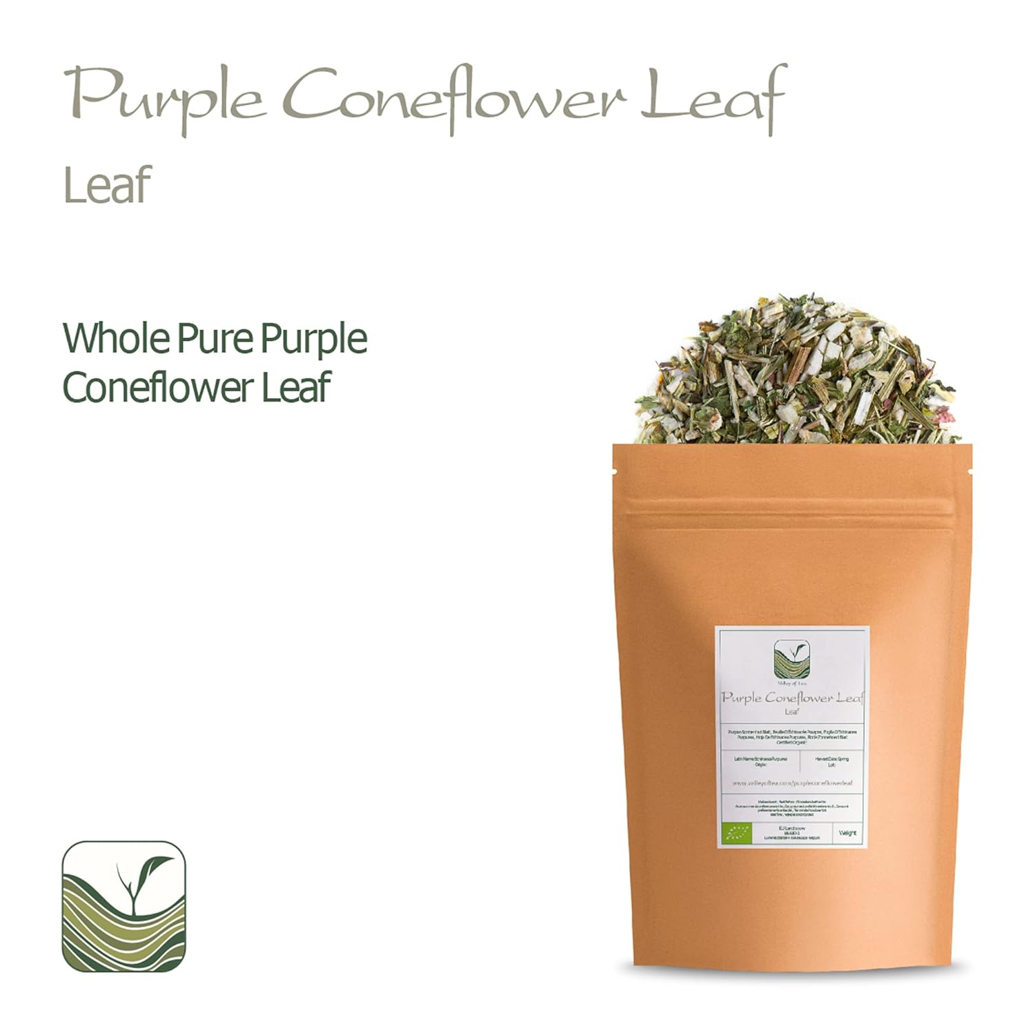 Purple Coneflower Echinacea Tea - Immunity Boosting Herbal Tea from Valley of Tea