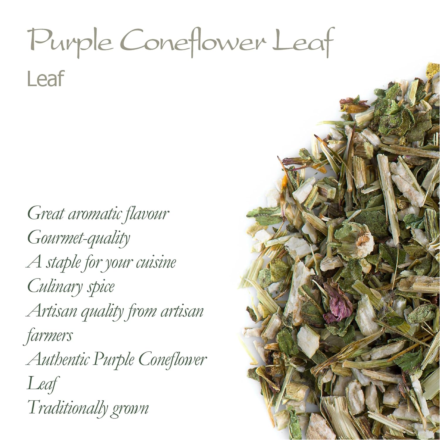 Purple Coneflower Echinacea Tea - Immunity Boosting Herbal Tea from Valley of Tea