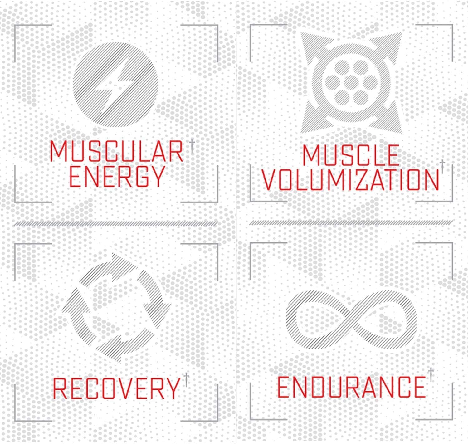 Purus Labs Citrulline Malate Powder - Active L-Citrulline Amino Acid for Strength, Volume, & Recovery - 100 Servings