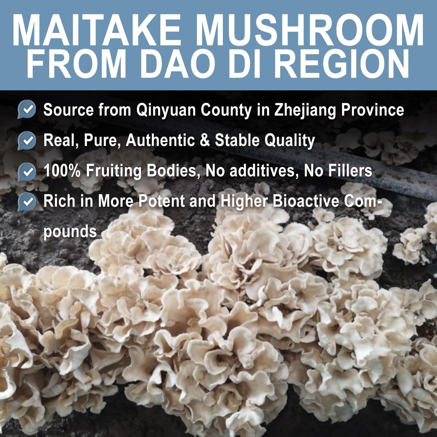 QIN SHAN TANG Maitake Mushroom Extract Powder - 100g, High Beta-glucans for Immune Support, Fruiting Body Supplement for Coffee & Smoothies