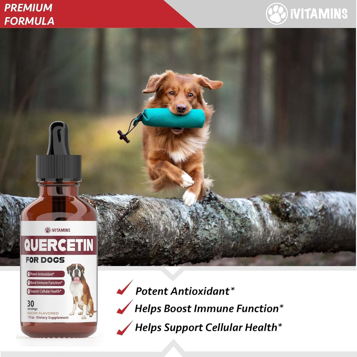Quercetin Dog Allergy Relief Supplements - Bacon Flavored Chewable for Dogs (1 Pack)