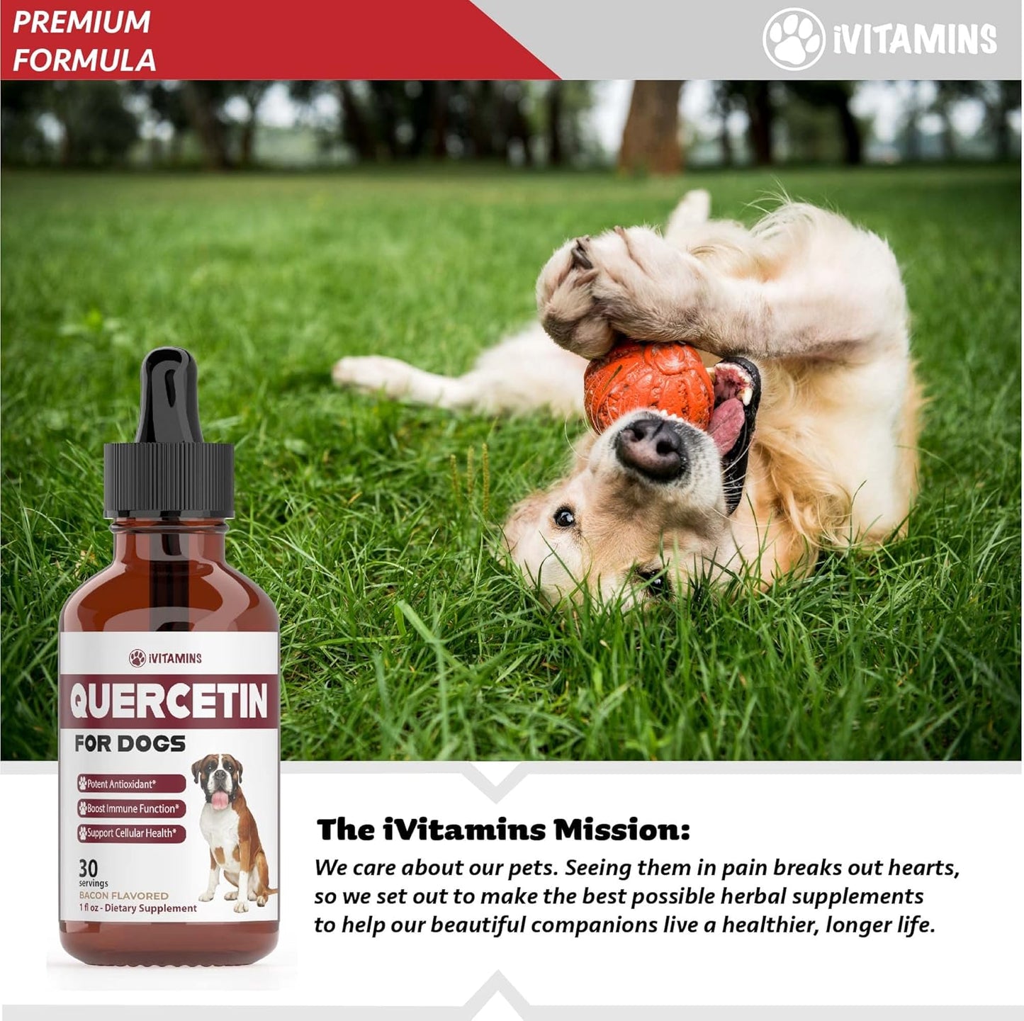 Quercetin Dog Allergy Relief Supplements - Bacon Flavored Chewable for Dogs (1 Pack)